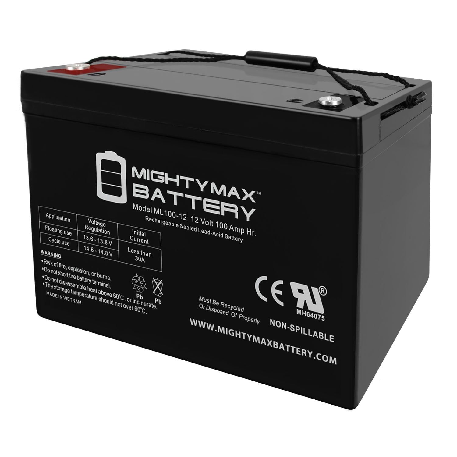 12V 100Ah SLA AGM Battery for Golf Carts and Solar Panels