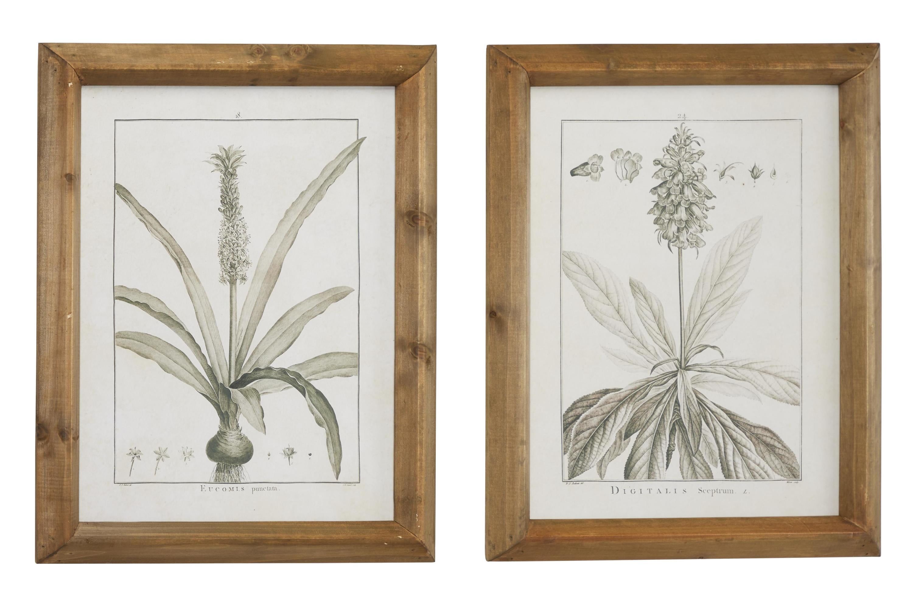 Light Brown and White Botanical Print Wall Art Set