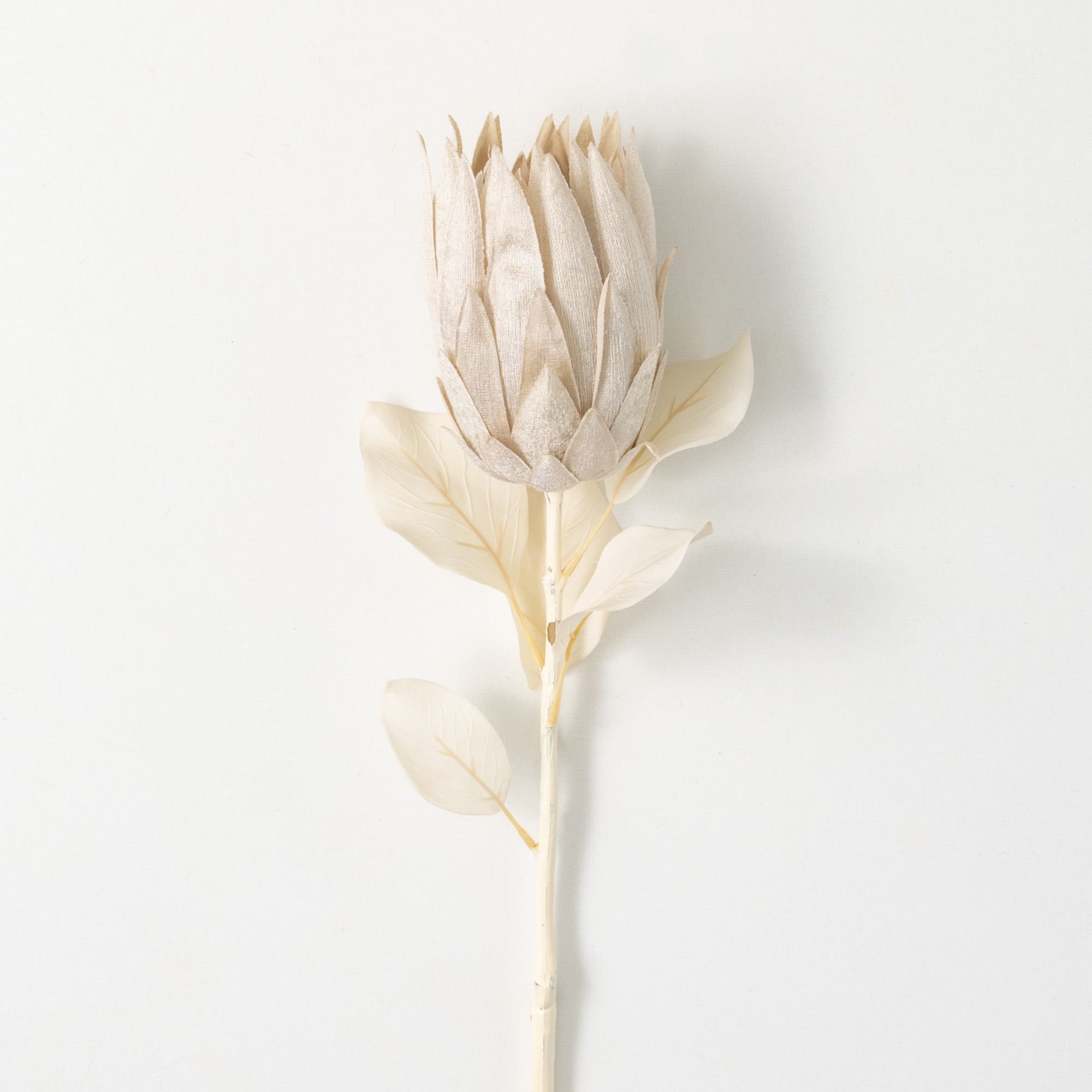 29" Pale Cream Artificial Protea Flower Stem