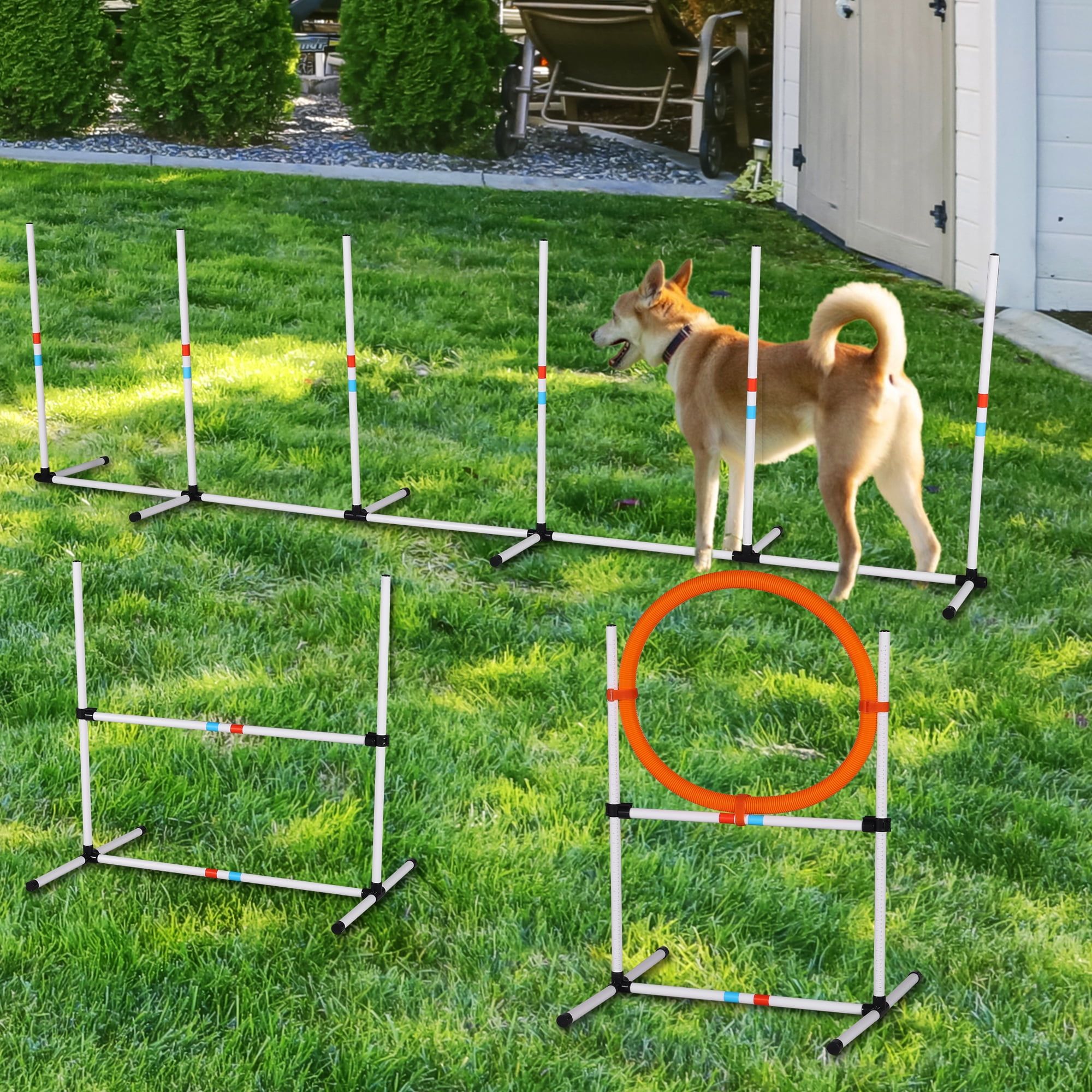 Adjustable Dog Agility Training Set with Hurdle, Hoop, and Poles