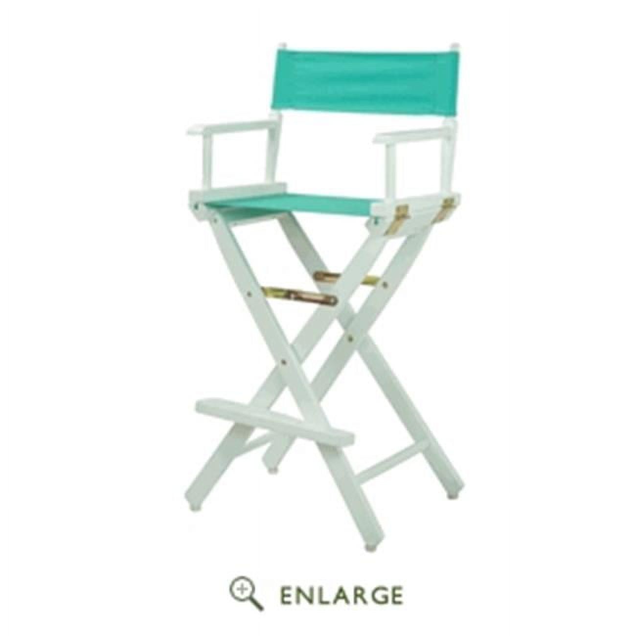 Elevate 45.5" Black and Teal Solid Wood Director's Chair