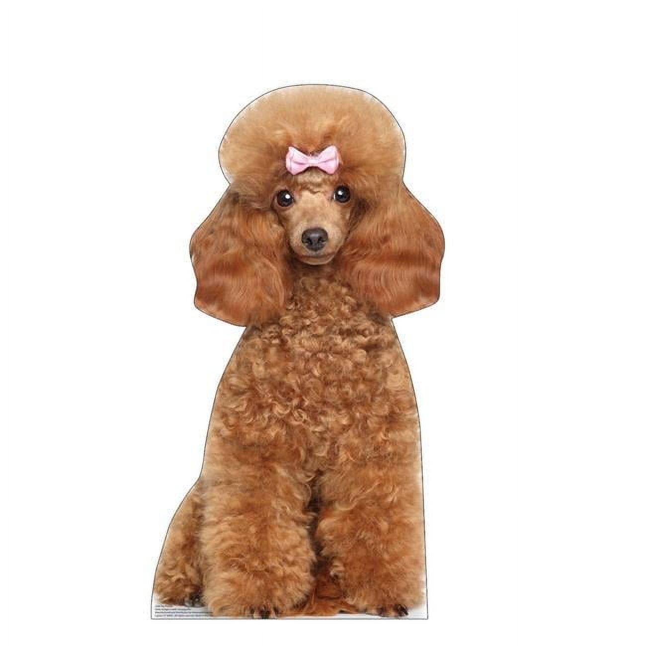 Life-Size Toy Poodle Cardboard Cutout with Pink Bow