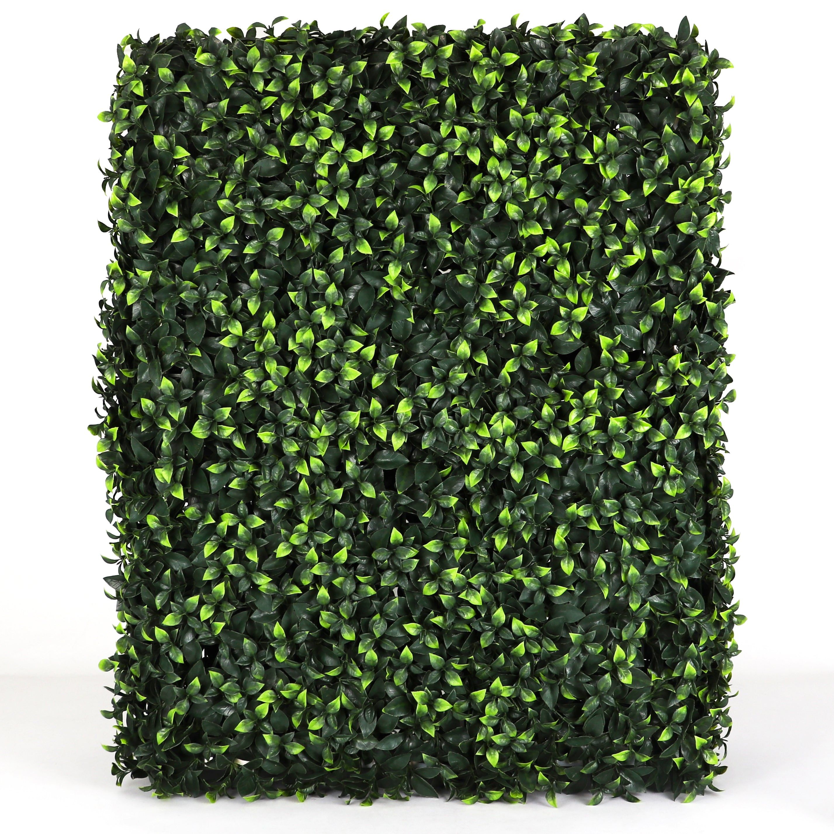 Rectangular Green Plastic Boxwood Outdoor Hedge Wall