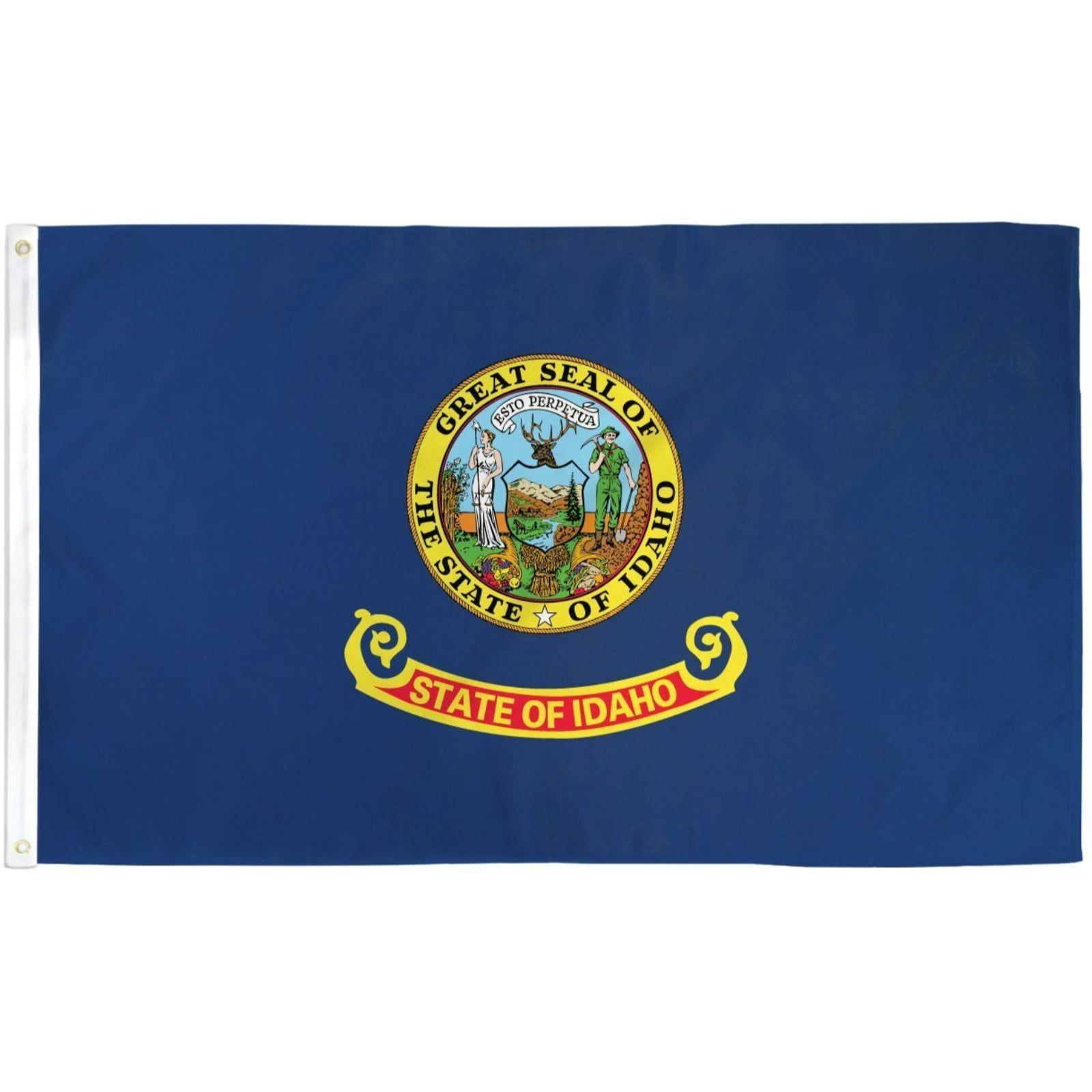 Idaho State Flag 3x5ft Polyester with Brass Grommets