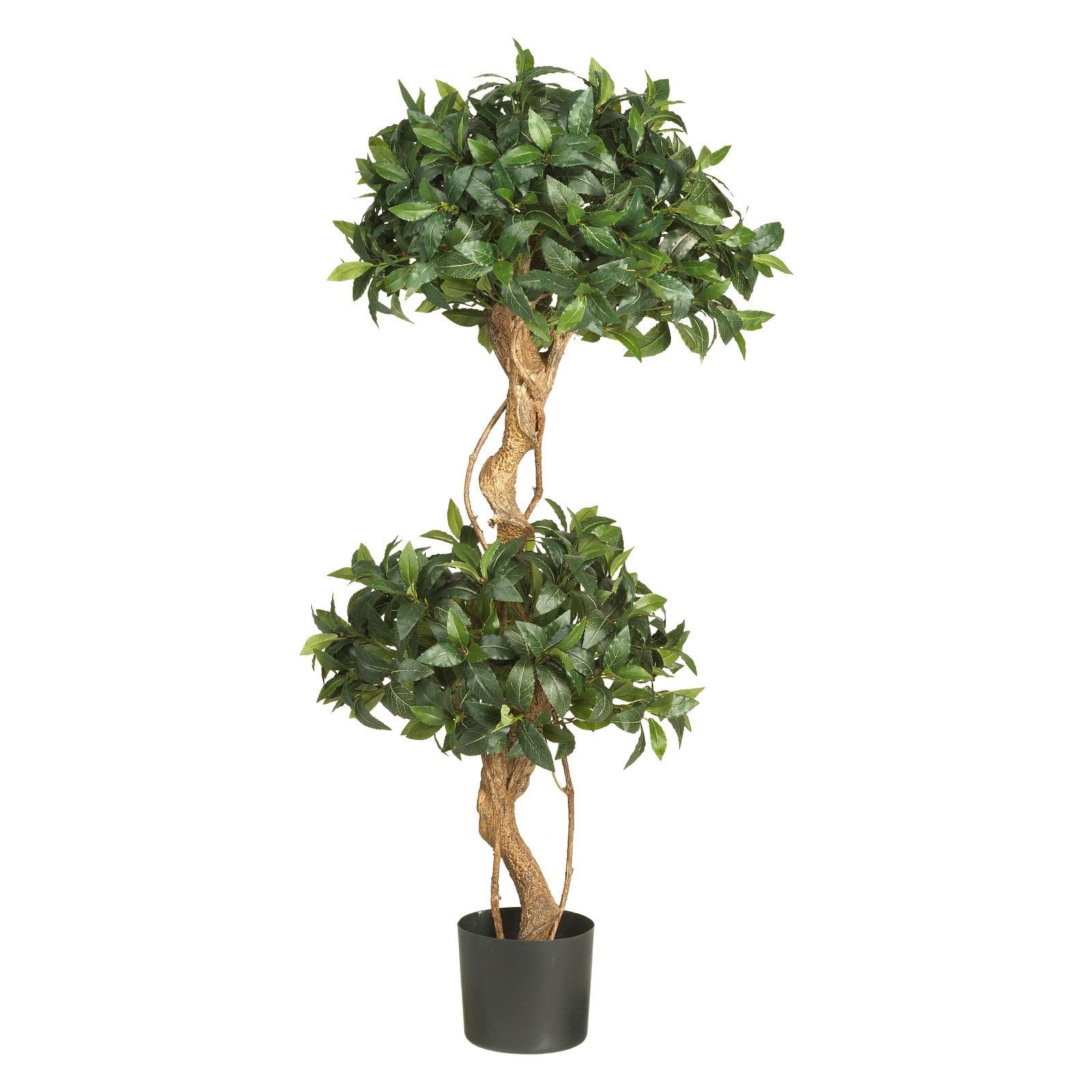 Elegant 4' Sweet Bay Double Ball Silk Topiary in Rustic Pot