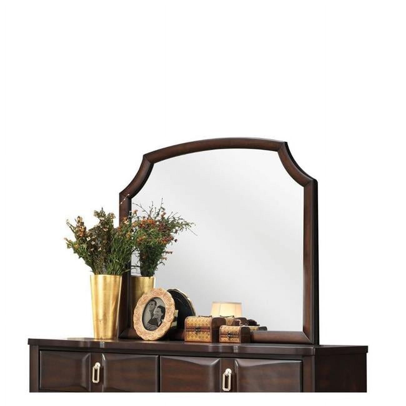 Espresso Wood Frame Lancaster Mirror with Arched Top