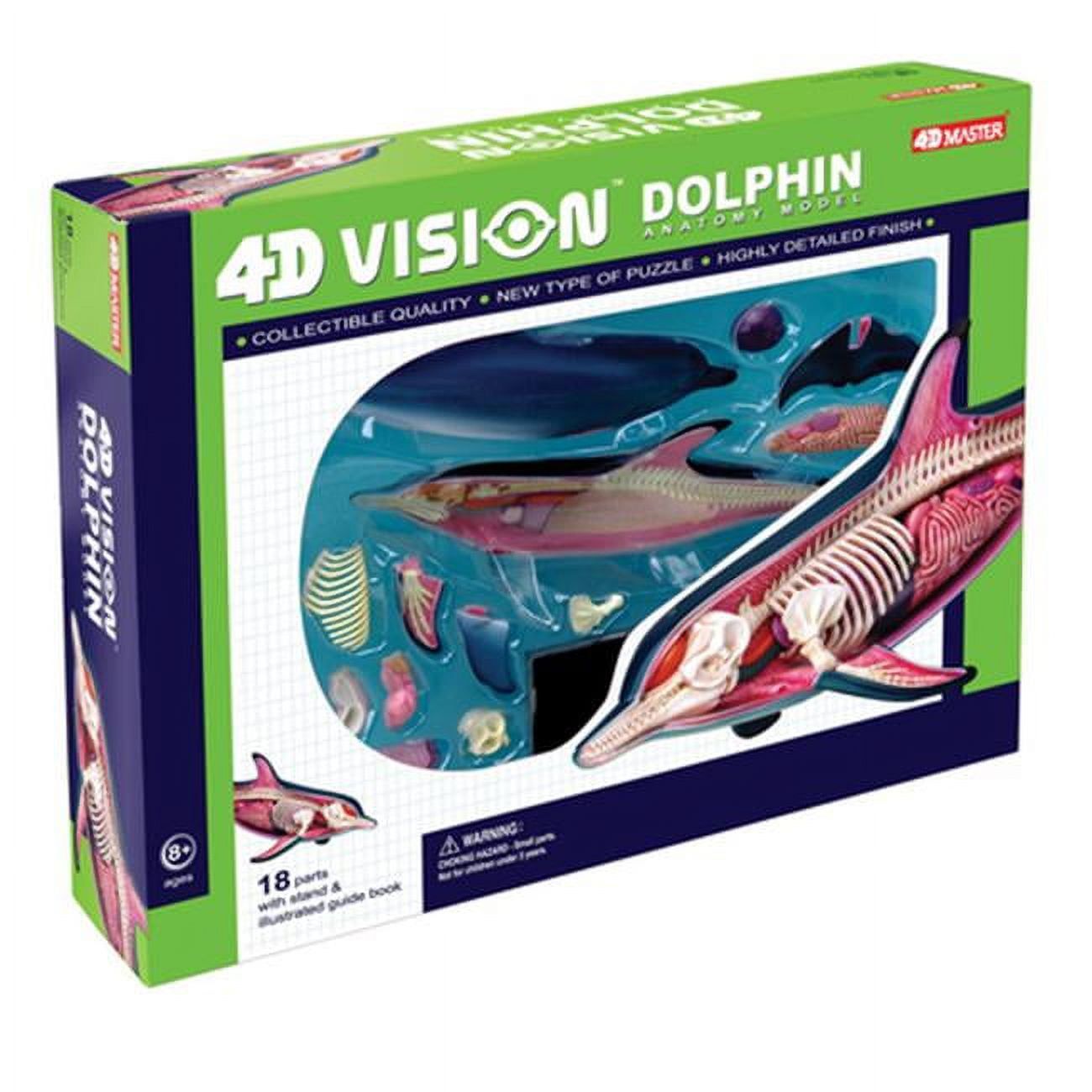 4D Vision Dolphin Anatomy Model with Hand-Painted Parts