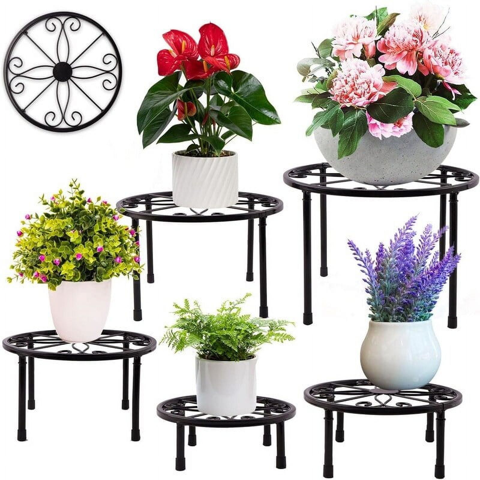 Set of 5 Black Metal Round Plant Stands