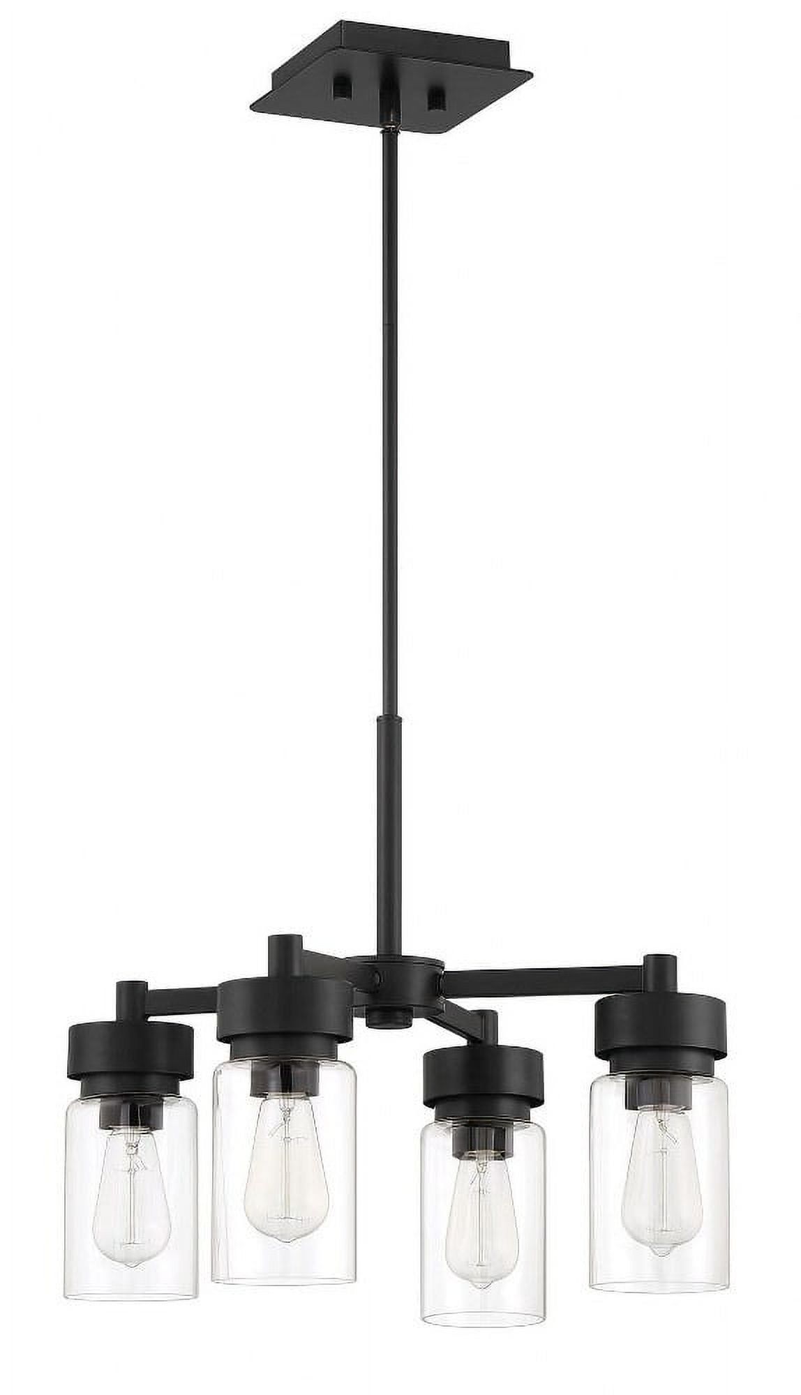 Midnight Black Steel 4-Light Outdoor Chandelier with Clear Glass