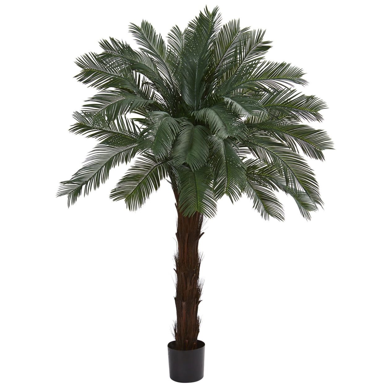 6-Foot UV-Resistant Cycas Artificial Tree in Black Pot