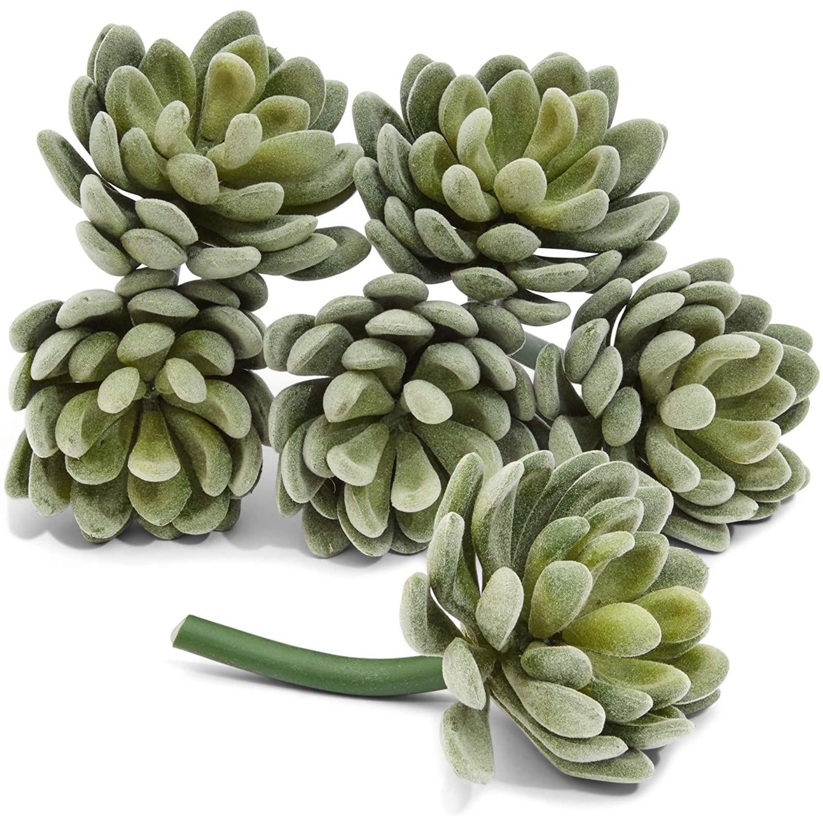 Set of 6 Green Faux Echeveria Succulent Picks