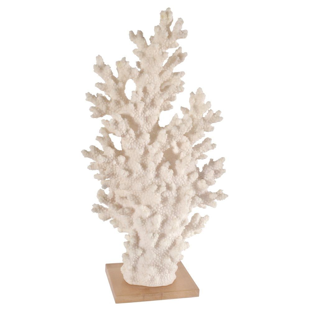 White Coral Polyresin Statue with Acrylic Base, 24" Tall