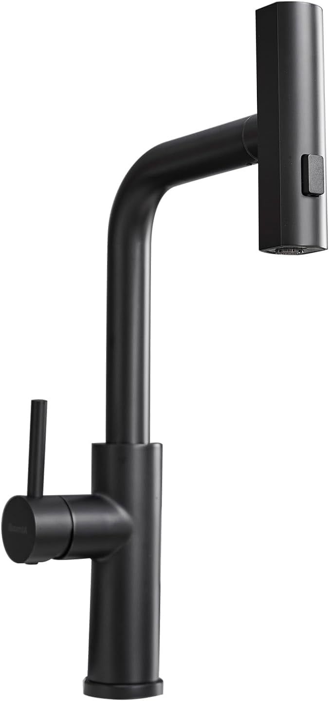 Matte Black Modern Kitchen Faucet with Pull Down Sprayer