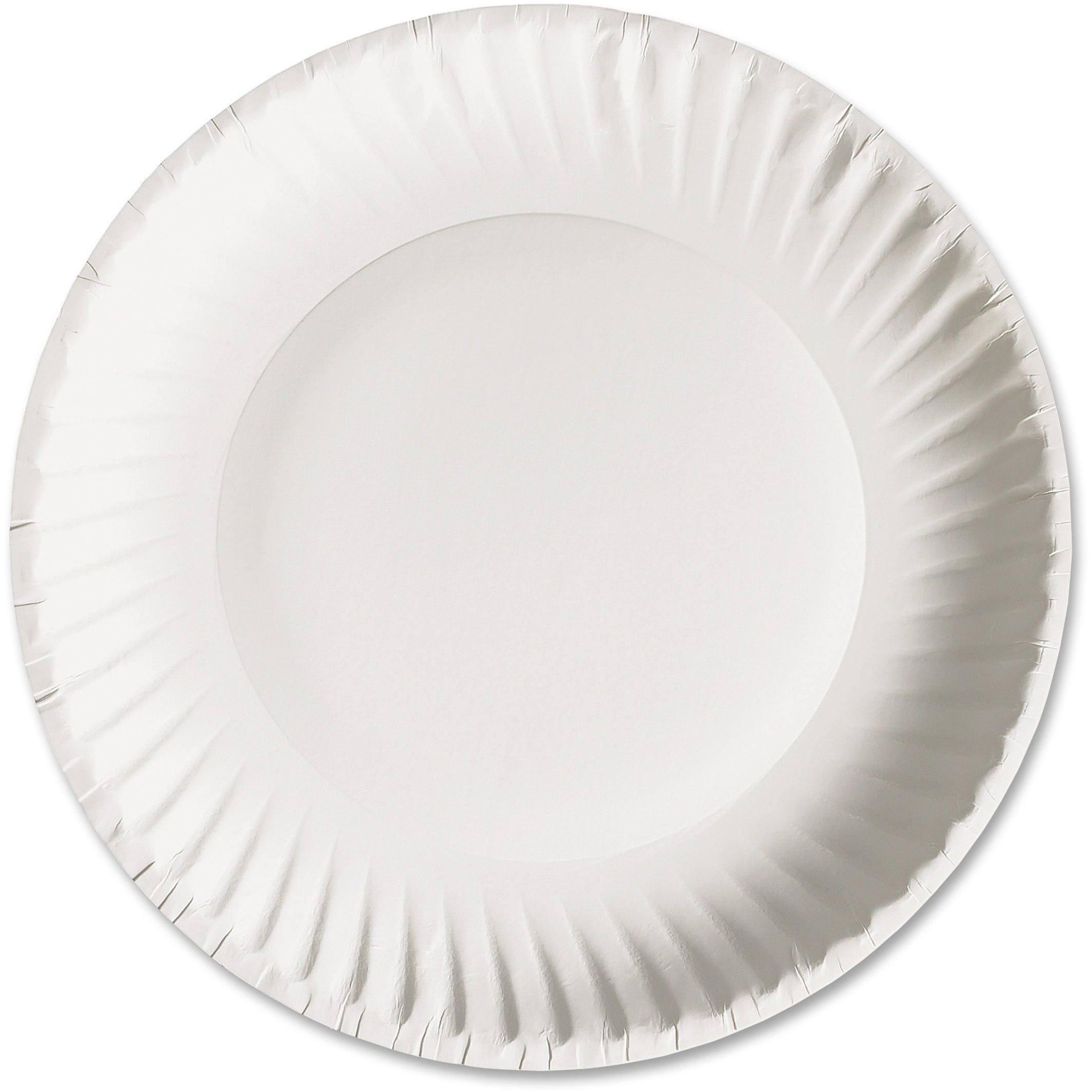 White 9-Inch Uncoated Paper Plates, 100 Count