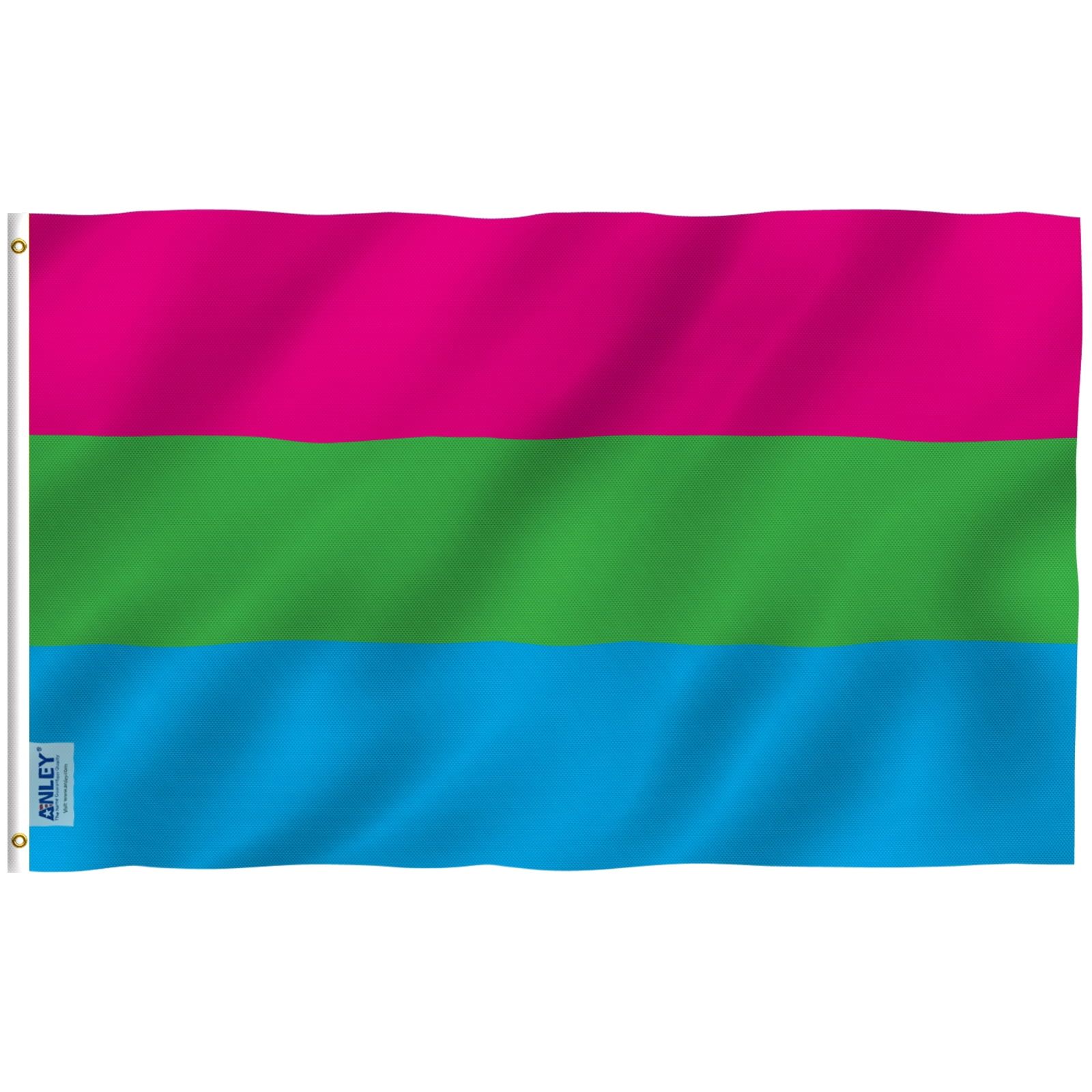 Vivid Polysexual Pride Flag with Brass Grommets 3x5 Ft