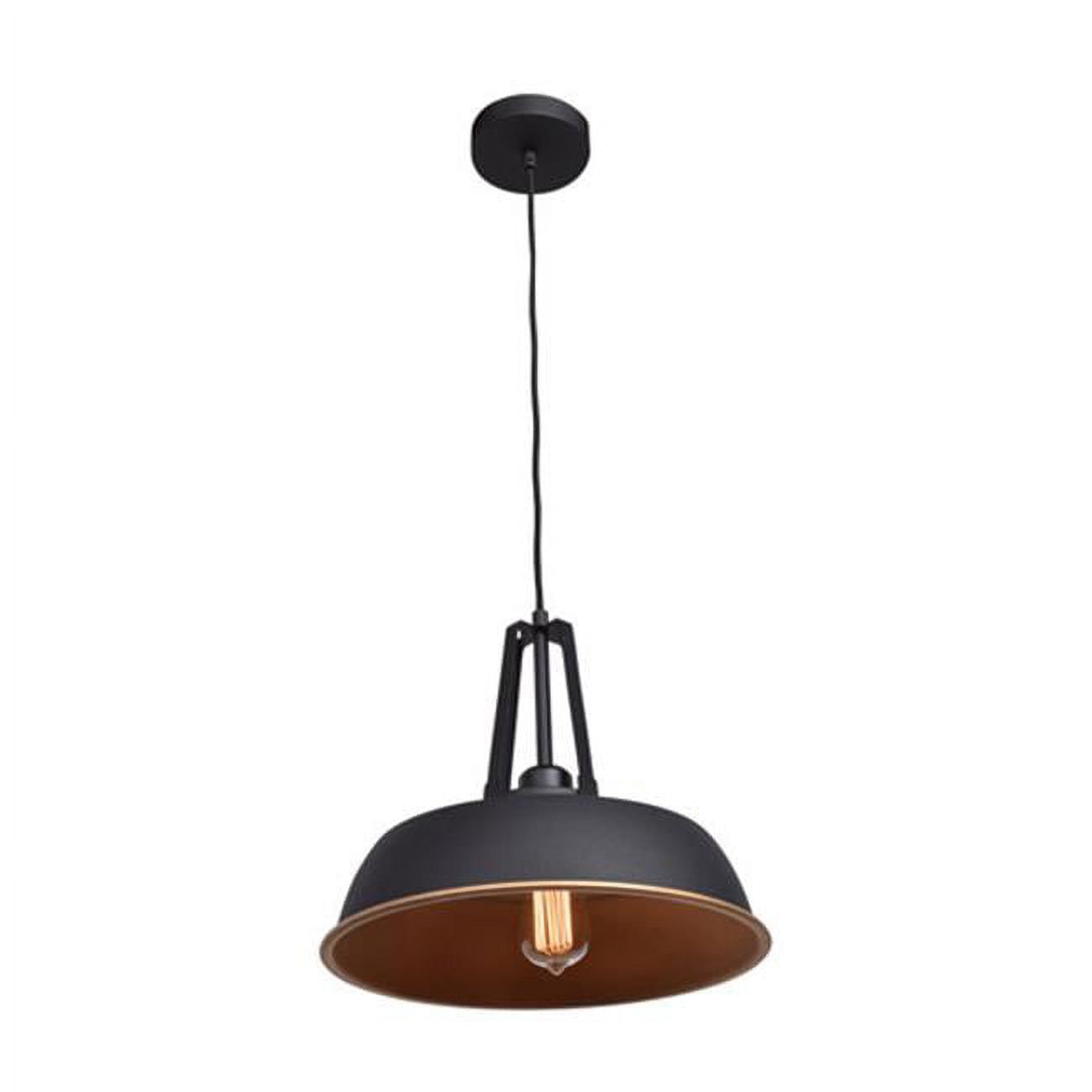 Matte Black and Gold Glass Pendant Light