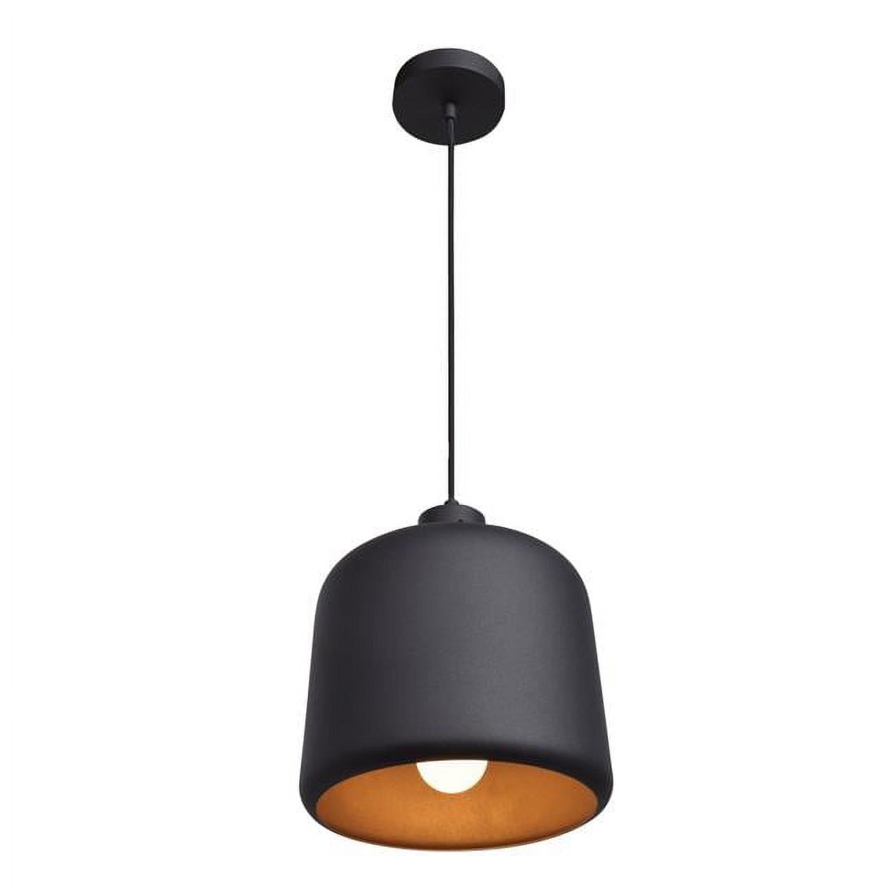 Matte Black and Gold Glass LED Pendant Light