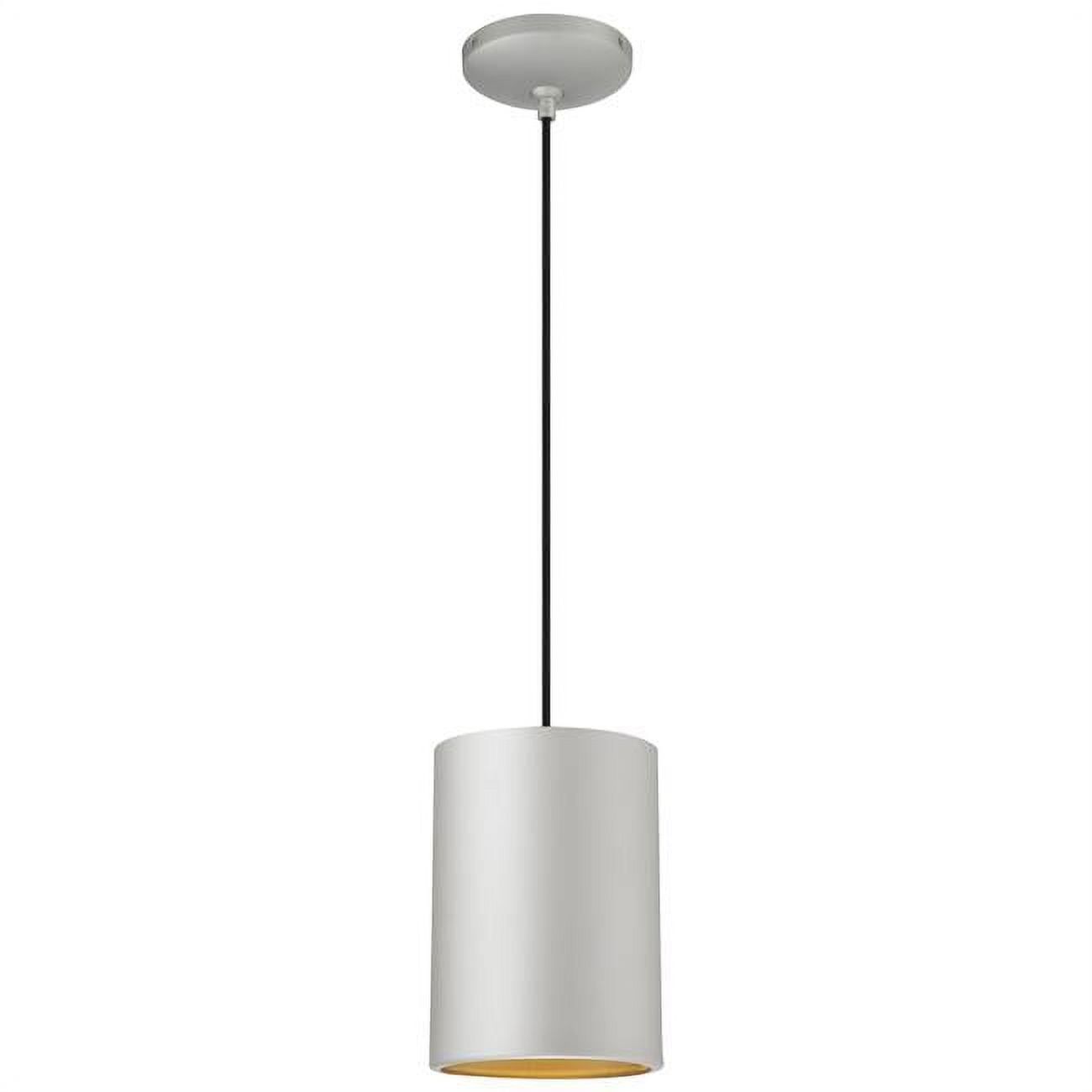 Matte Black Modern Drum Pendant Light for Indoor/Outdoor Use