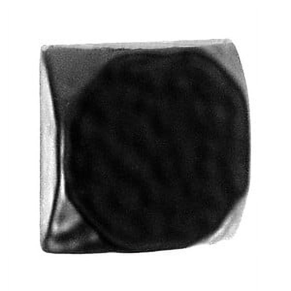 Black Iron 1-5/8" Square Decorative Clavos