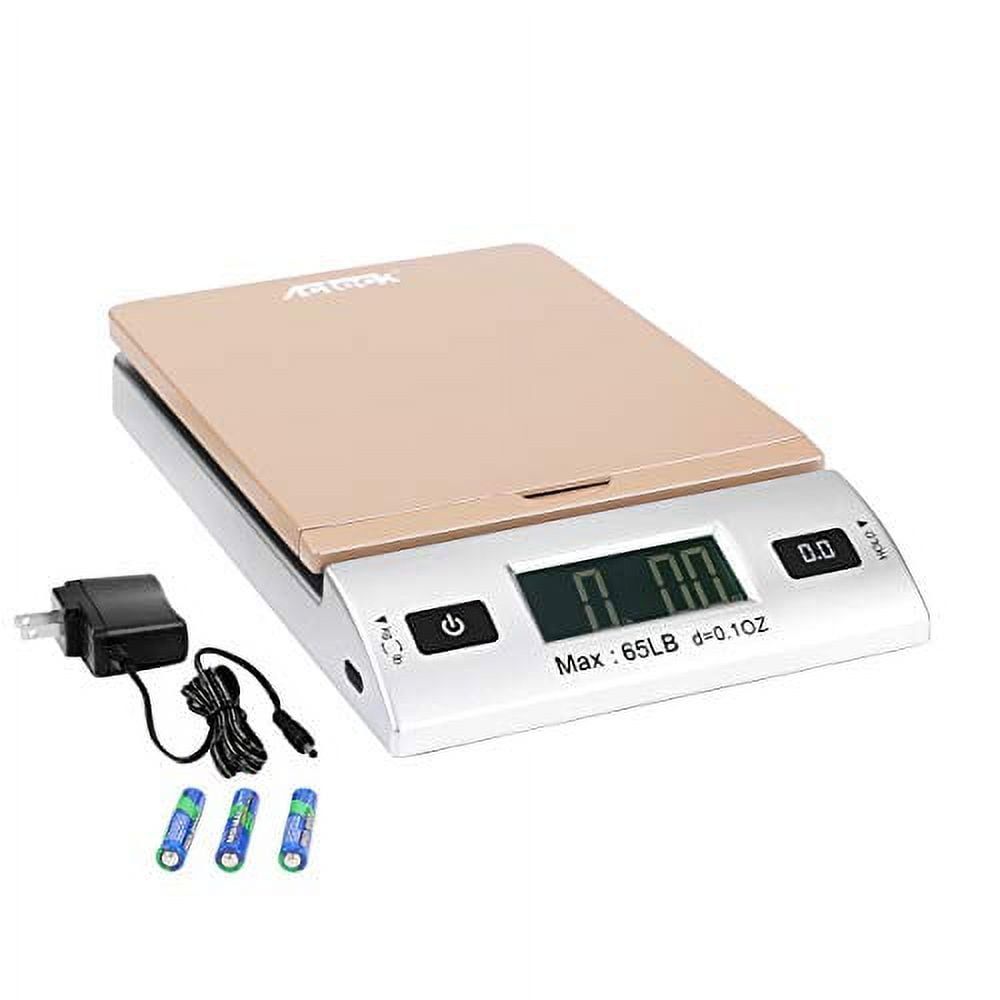 Gold Silver Digital Shipping Postal Scale with Batteries and AC Adapter