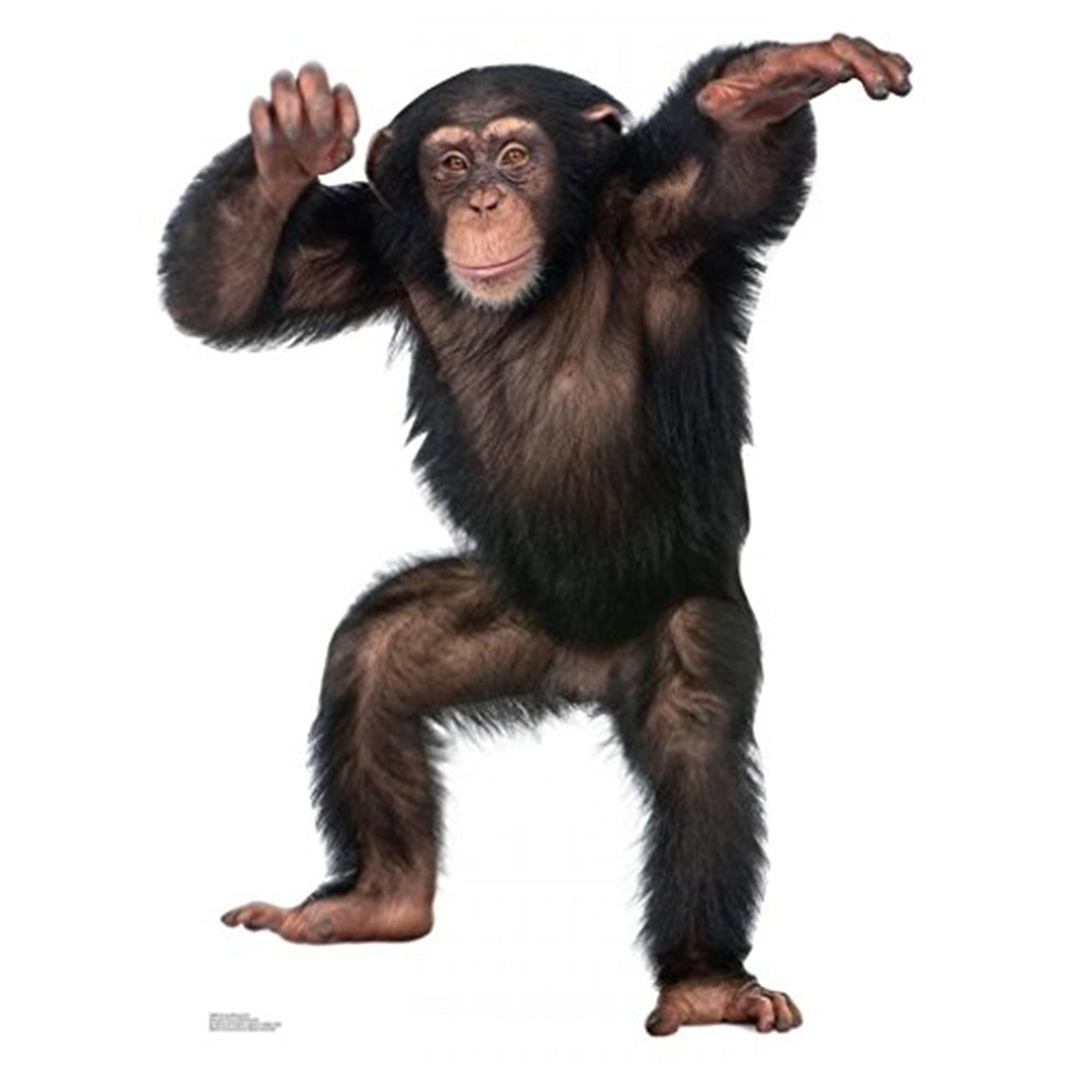 Life-Size Young Chimpanzee Cardboard Standup Decor