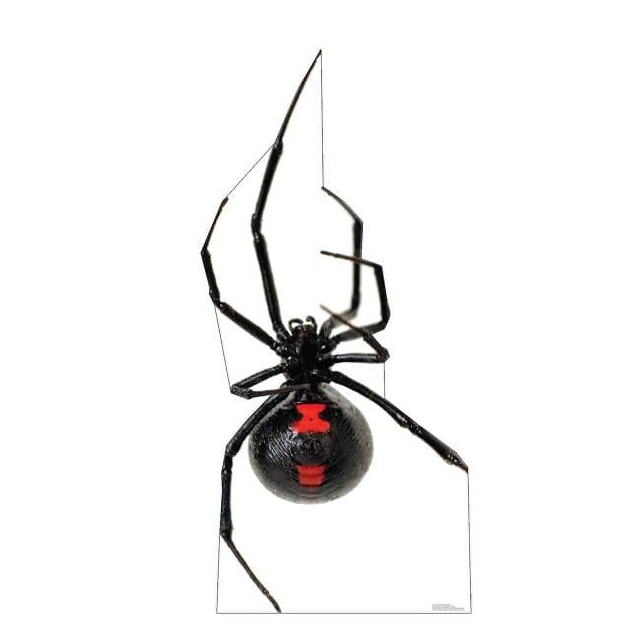 Giant Black Widow Spider Life-Size Cardboard Cutout