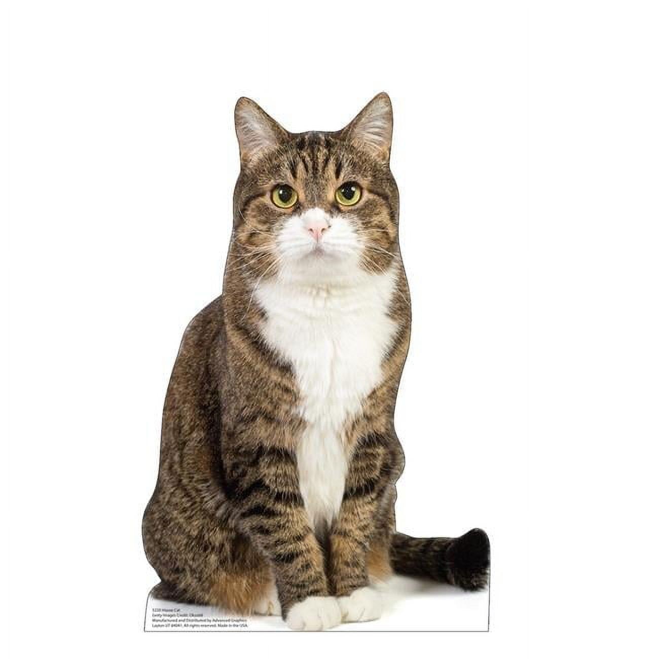 Life-Size House Cat Cardboard Cutout Standee