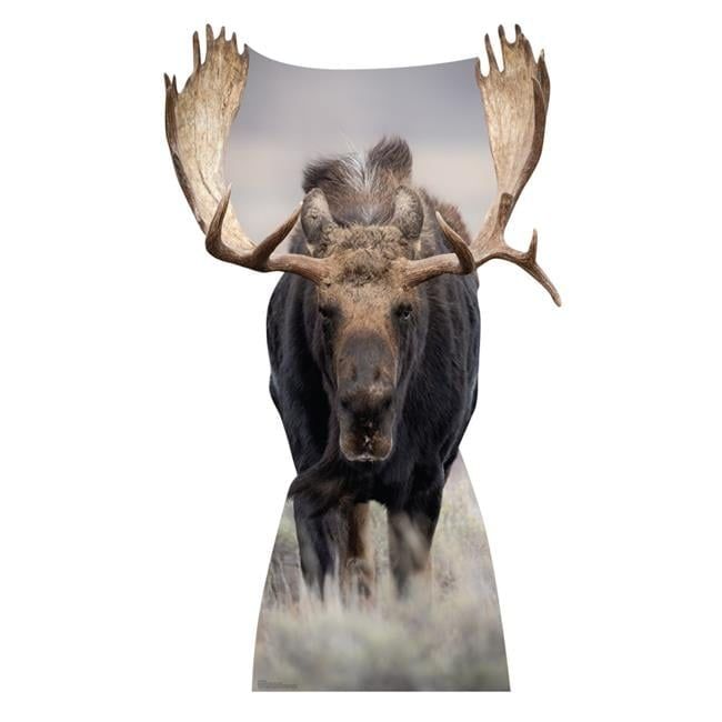 63 x 37 Inch Life-Size Moose Cardboard Cutout Standee