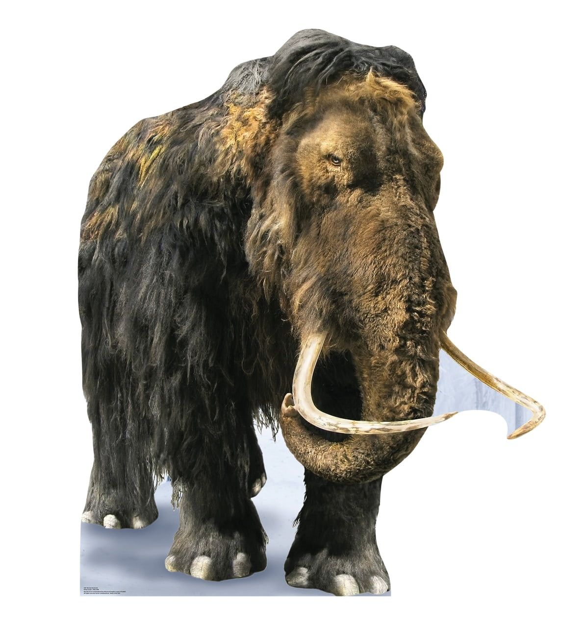 Life-Size Woolly Mammoth Cardboard Cutout Standee