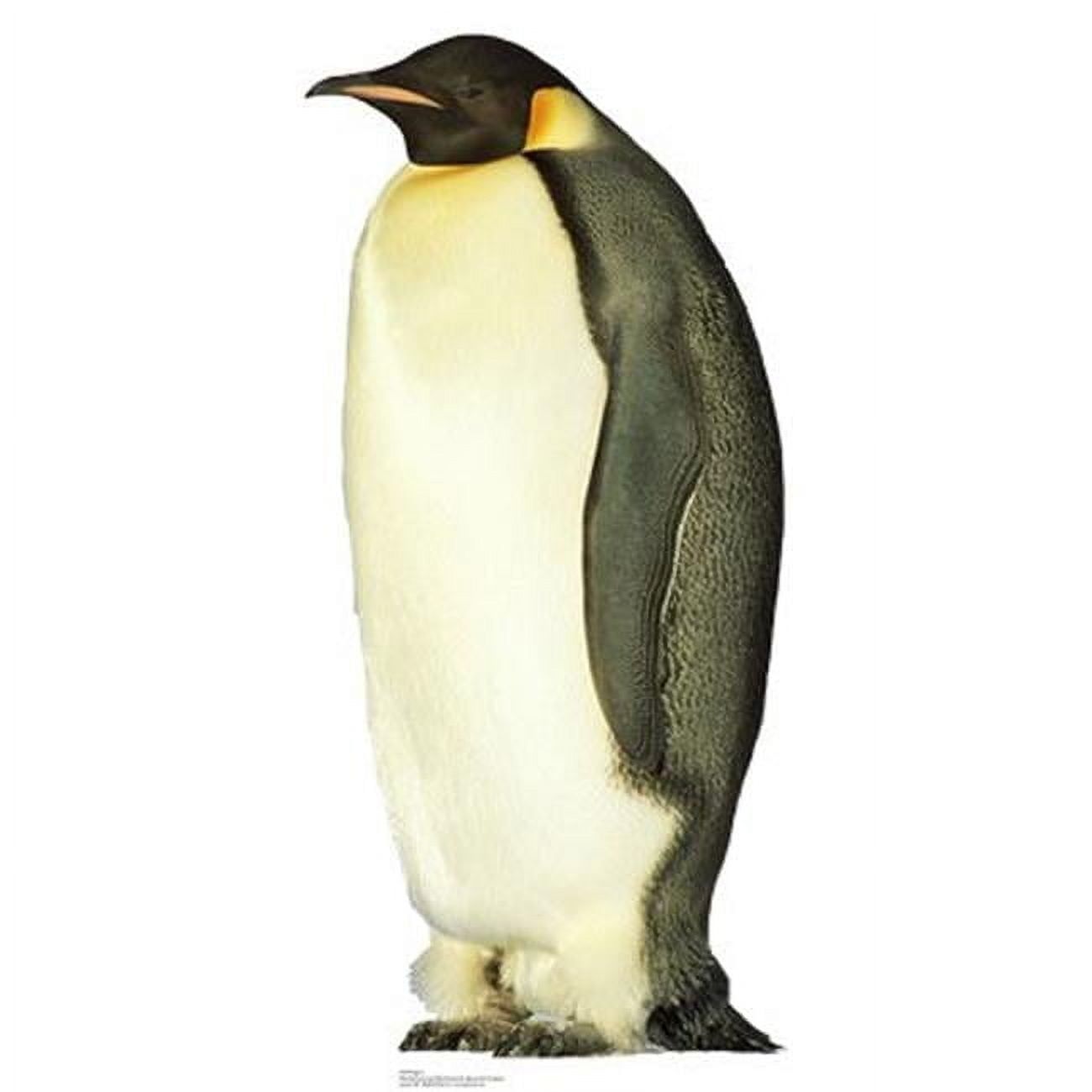 Life-Size Penguin Cardboard Stand-Up Display