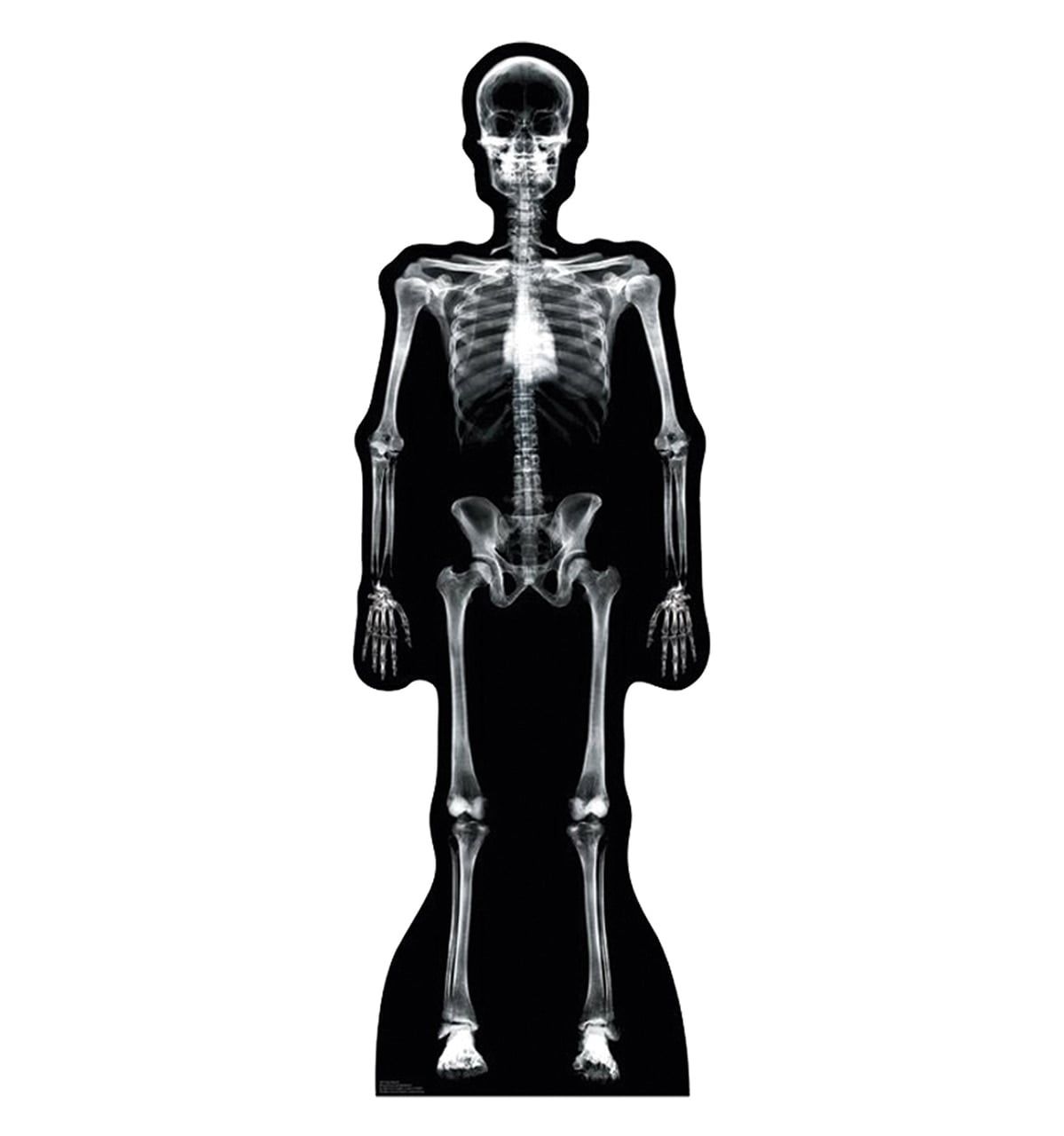 Life-Size Black and White X-Ray Skeleton Cardboard Standup