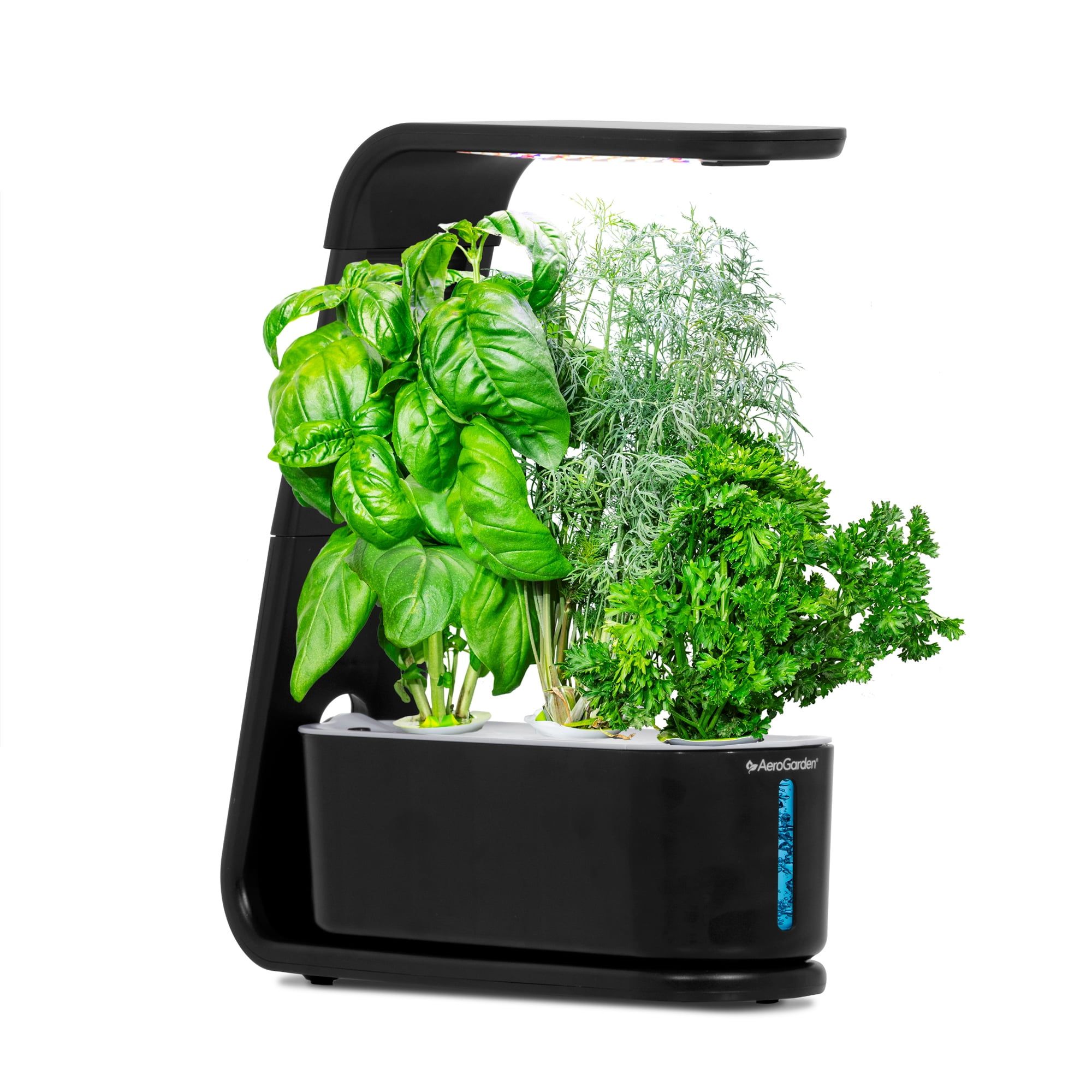 Black Compact LED Indoor Hydroponic Garden with Herb Kit