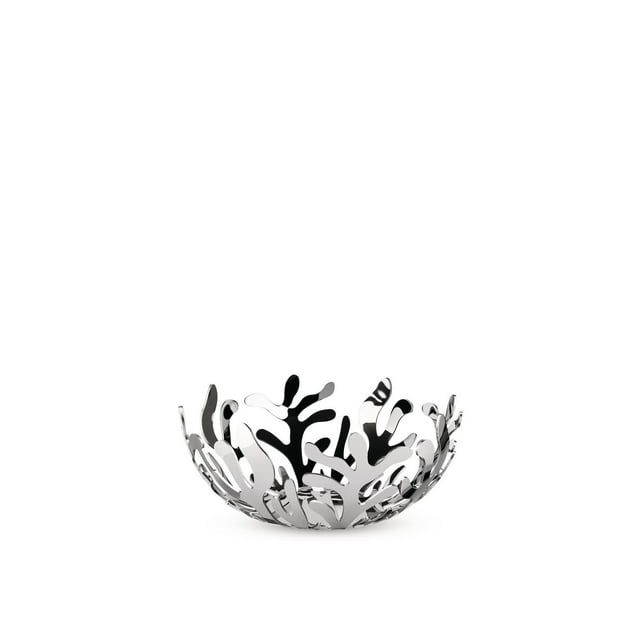 Medium Stainless Steel Coral-Inspired Fruit Holder