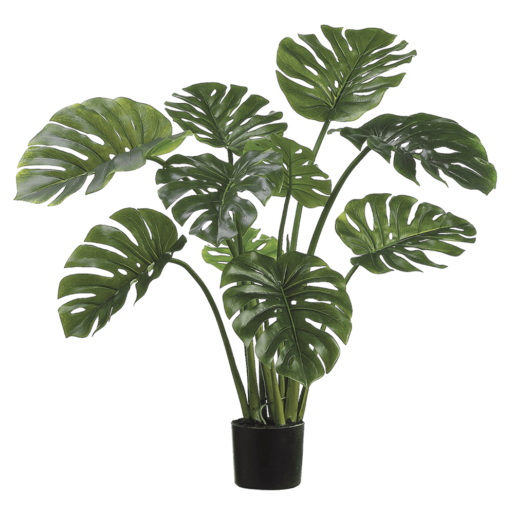 Lifelike Two-Tone Philodendron Floor Plant in Black Pot