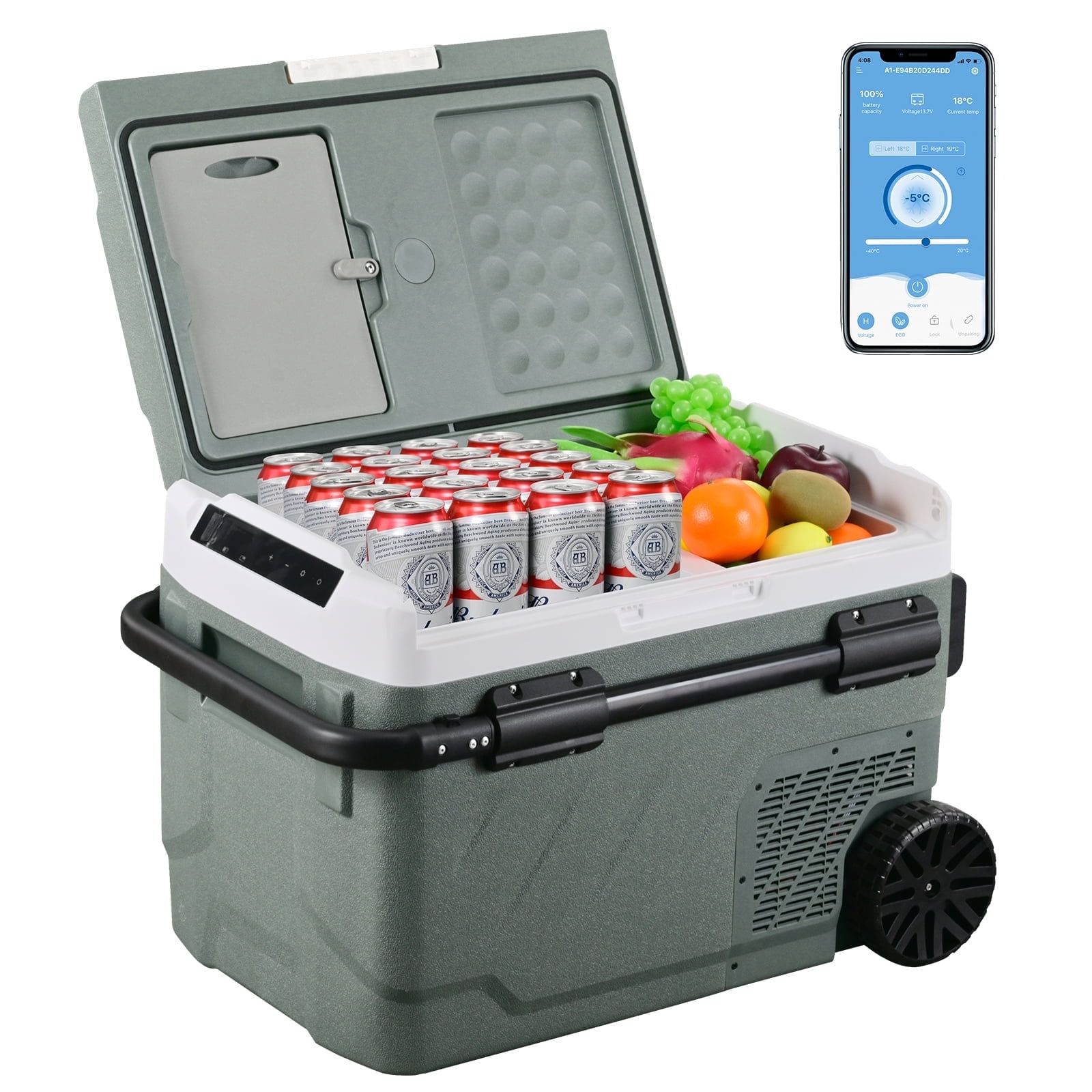 Alpicool 42 Quart Green Dual Zone Portable Car Refrigerator