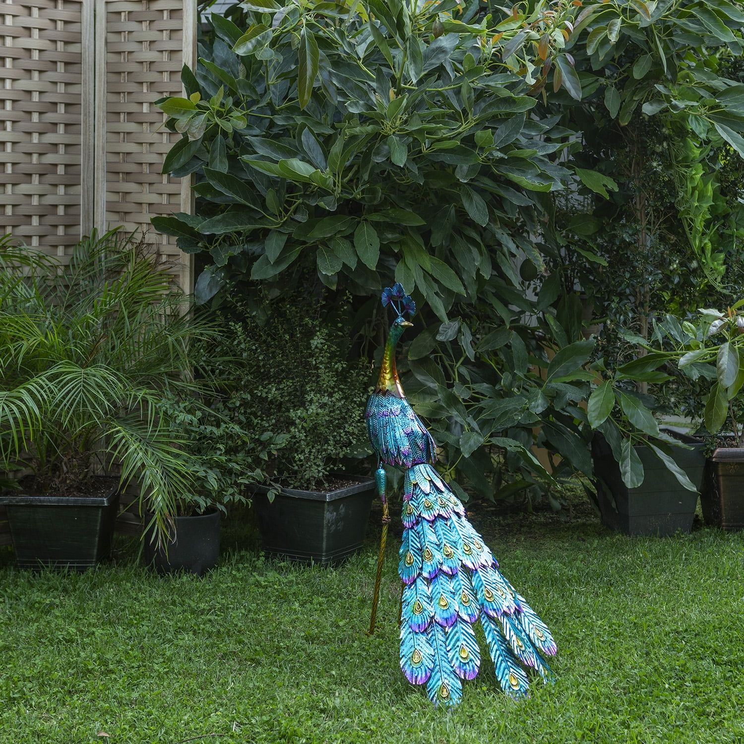 37" Multicolor Metal Peacock Garden Statue