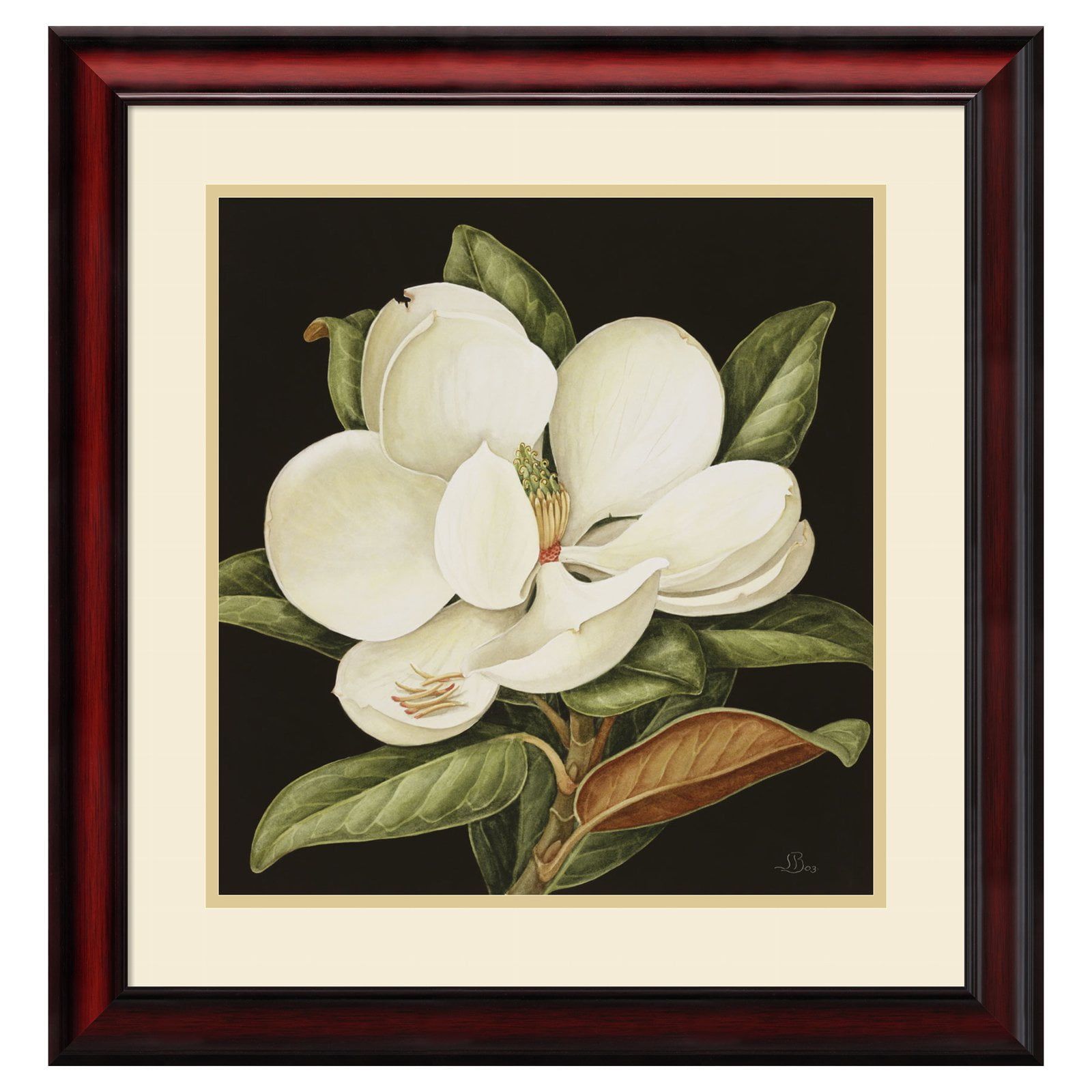 Magnolia Grandiflora 2003 Framed Botanical Print with Cherry Wood Frame