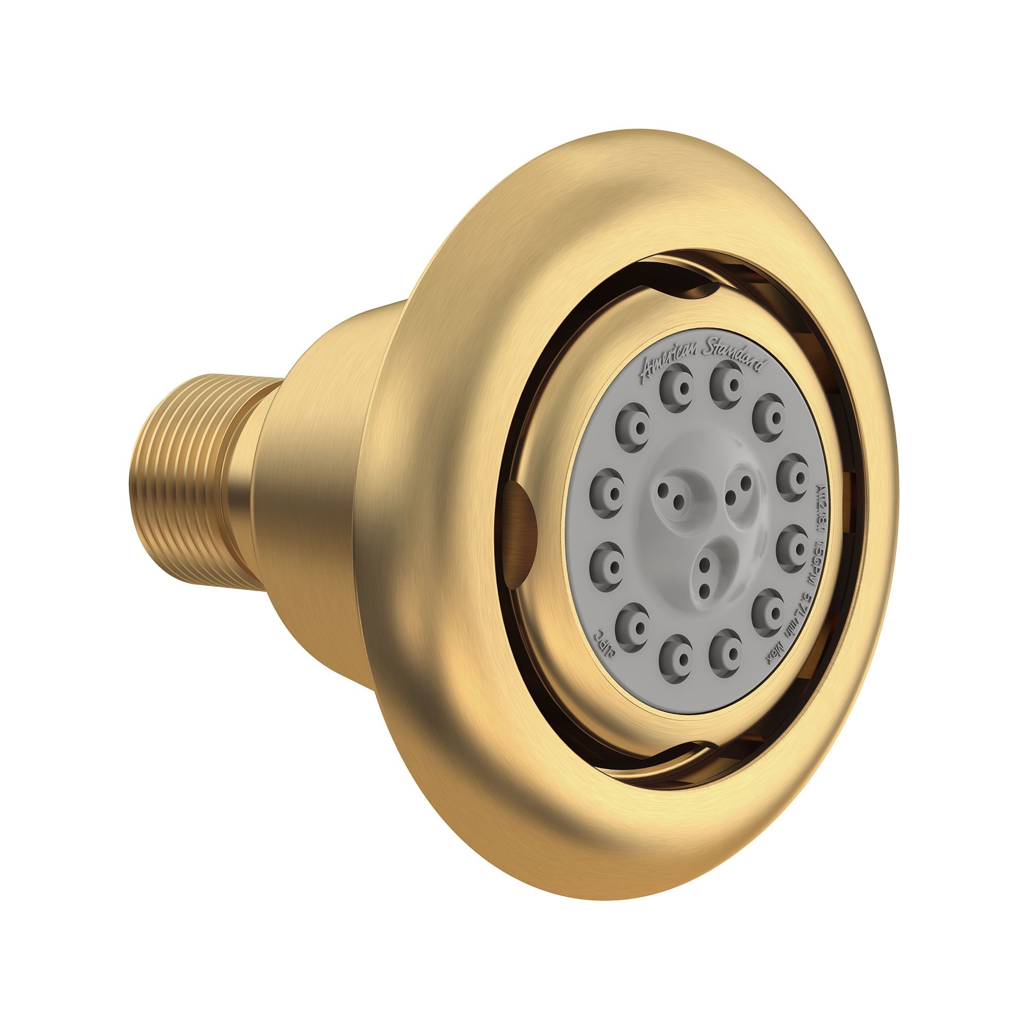 Gold Round Adjustable Multi-Function Shower Head