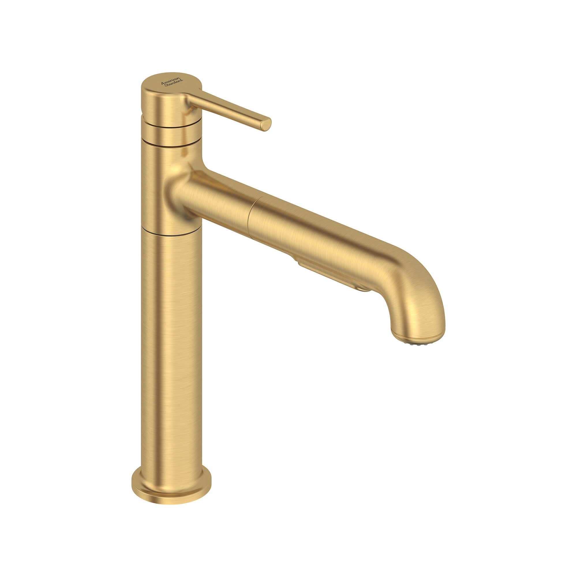 Matte Gold Pull-Out Spray Kitchen Faucet