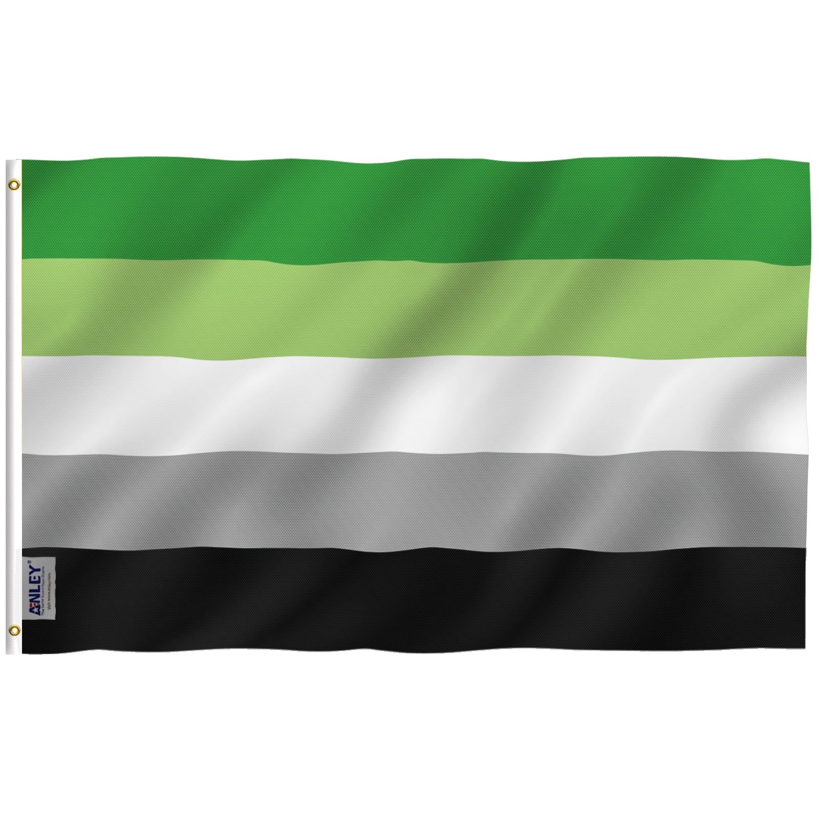 Anley 3x5 Feet Aromantic Pride Polyester Flag