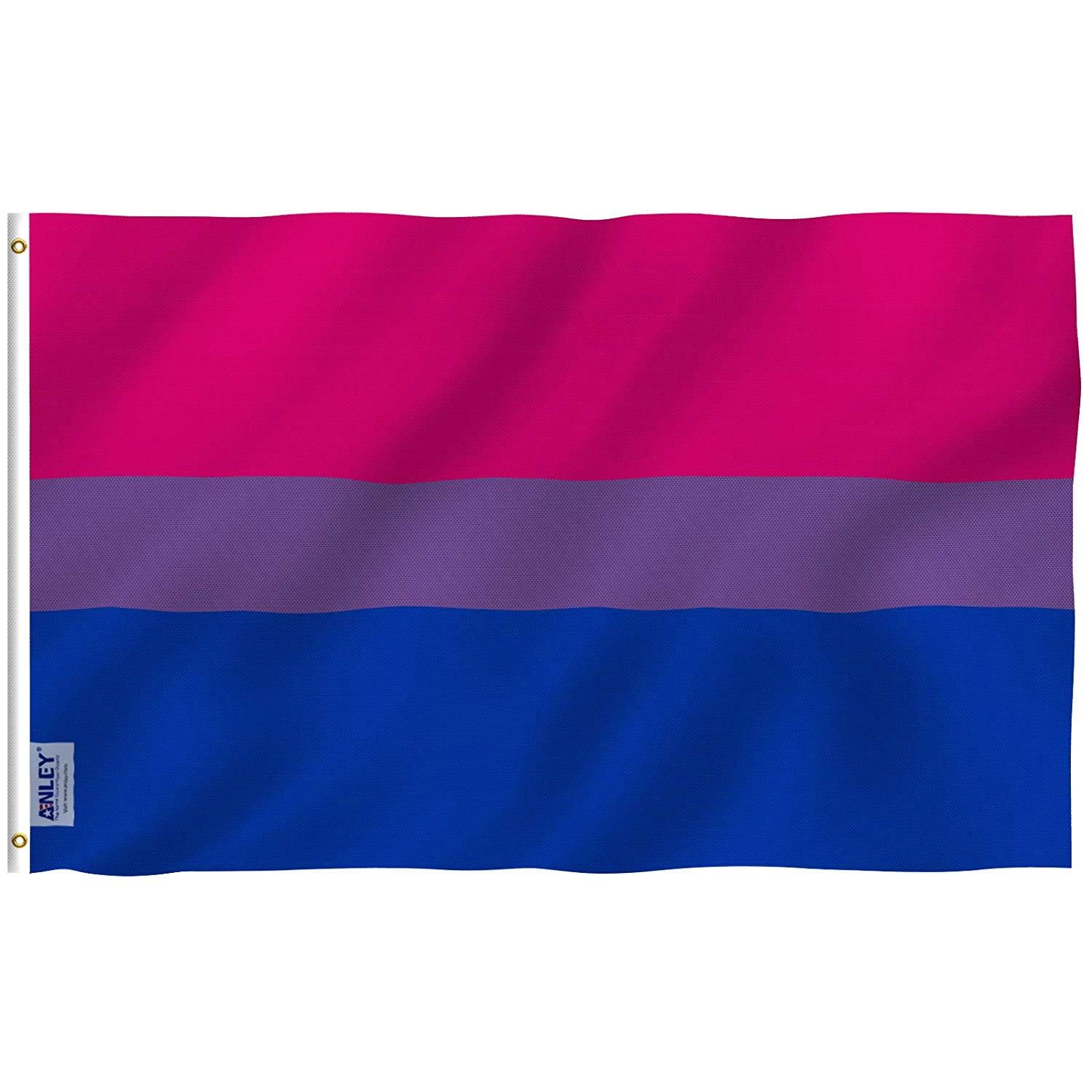 Vivid Pink and Blue Polyester Bi Pride Flag with Brass Grommets