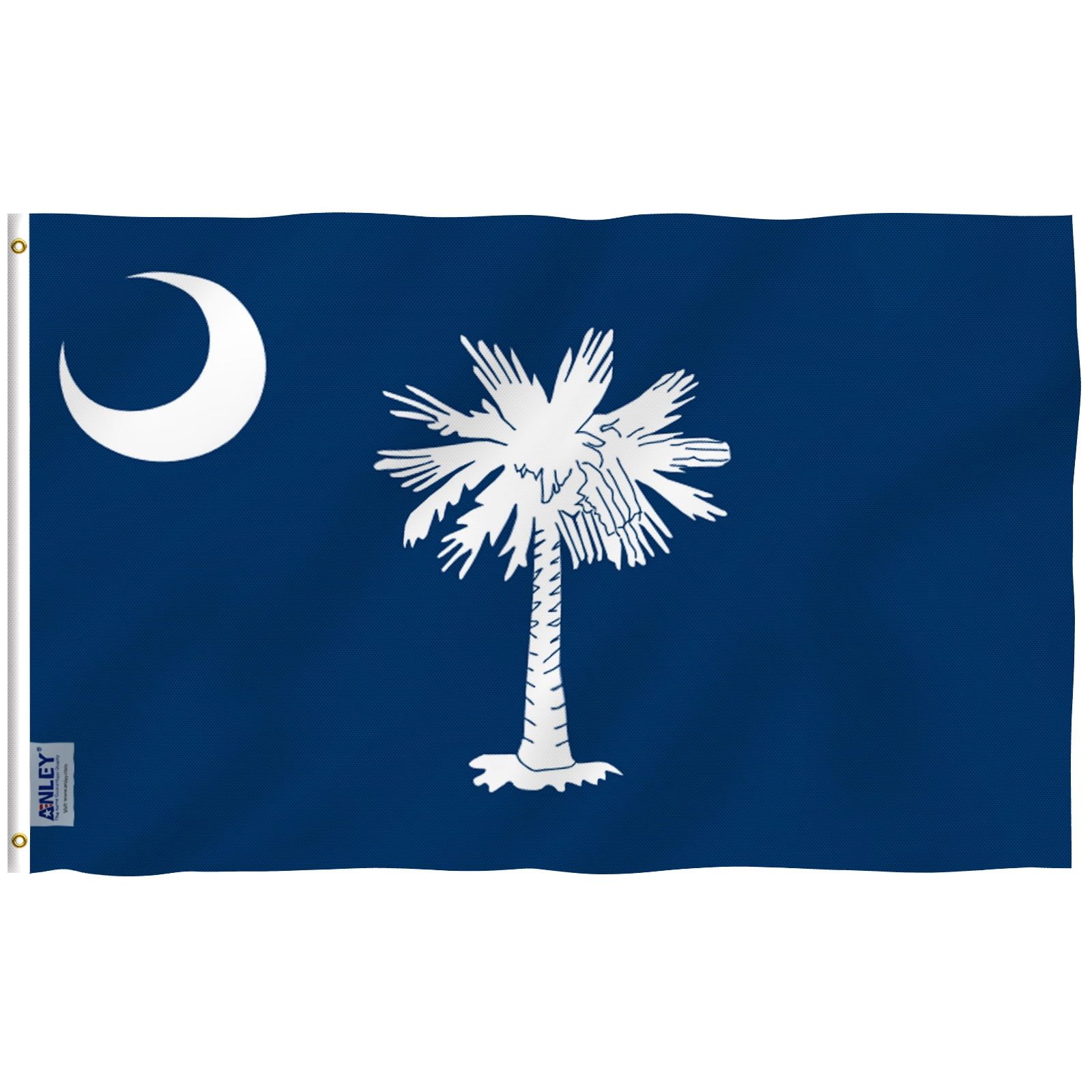 South Carolina 3x5 Foot Blue and White Polyester Flag