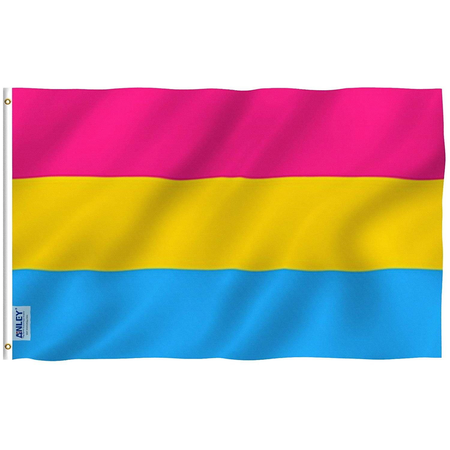 3x5 Foot Pansexual Pride Flag with Brass Grommets