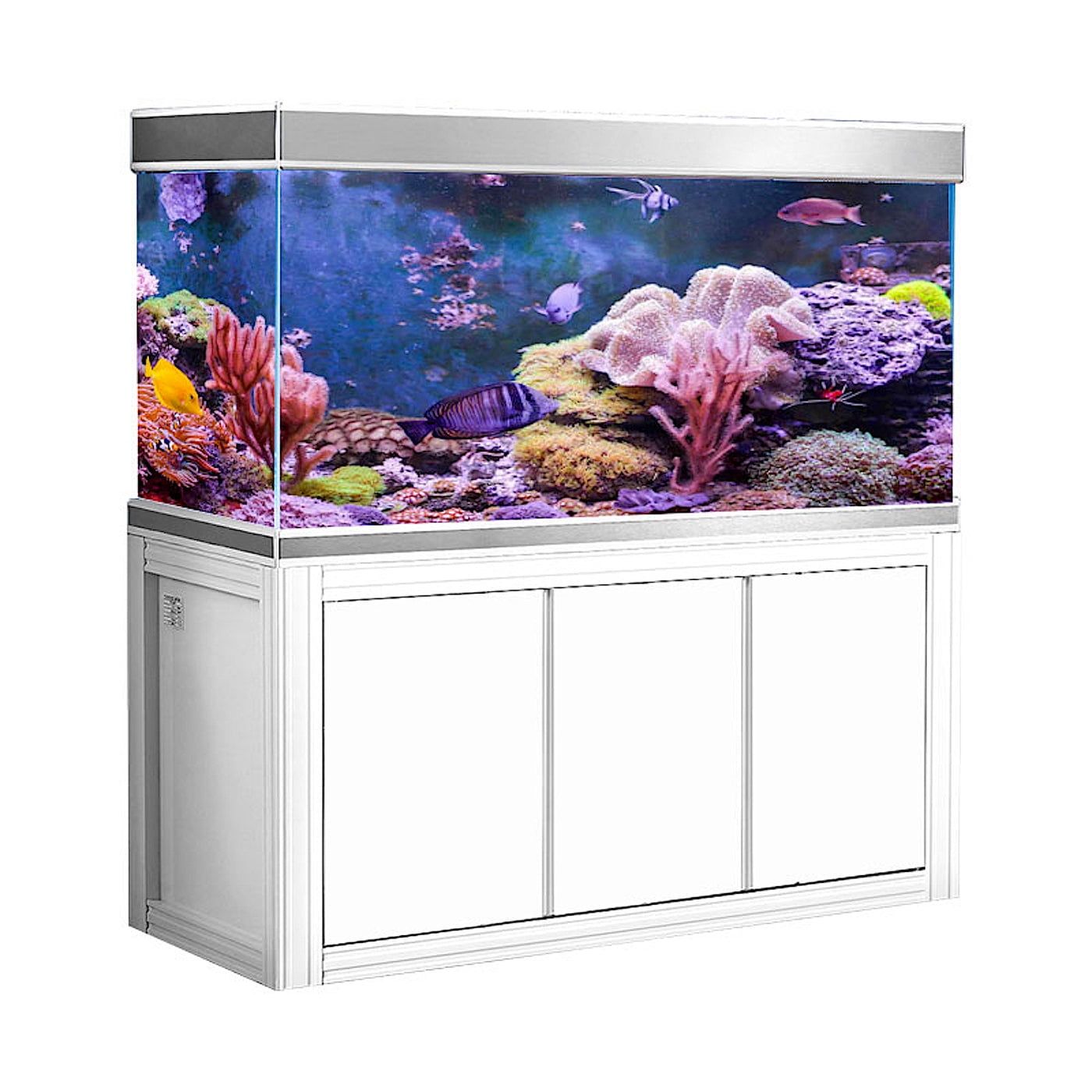 Aqua Dream 145 Gallon White and Silver Glass Aquarium with Stand