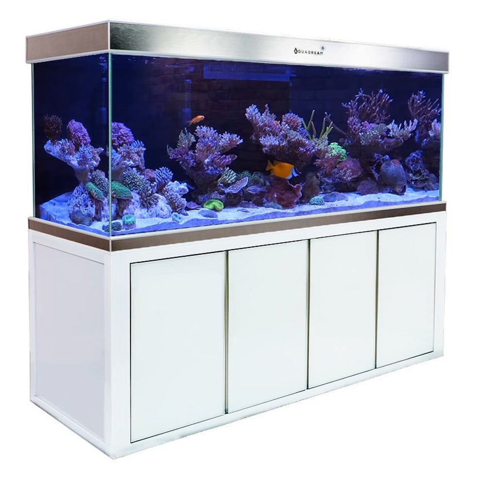 Aqua Dream 260 Gallon White and Silver Glass Aquarium with Stand