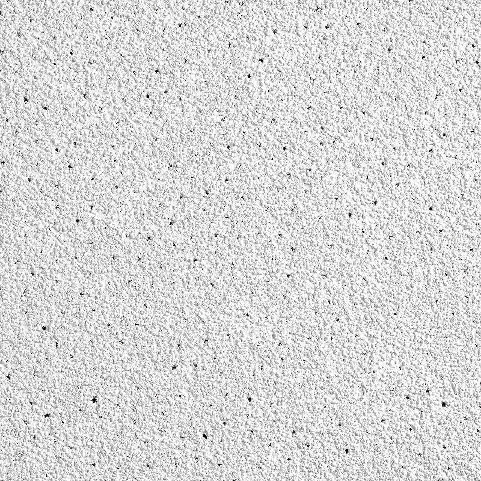 Dune White Acoustic Mineral Fiber Ceiling Tiles 24x24