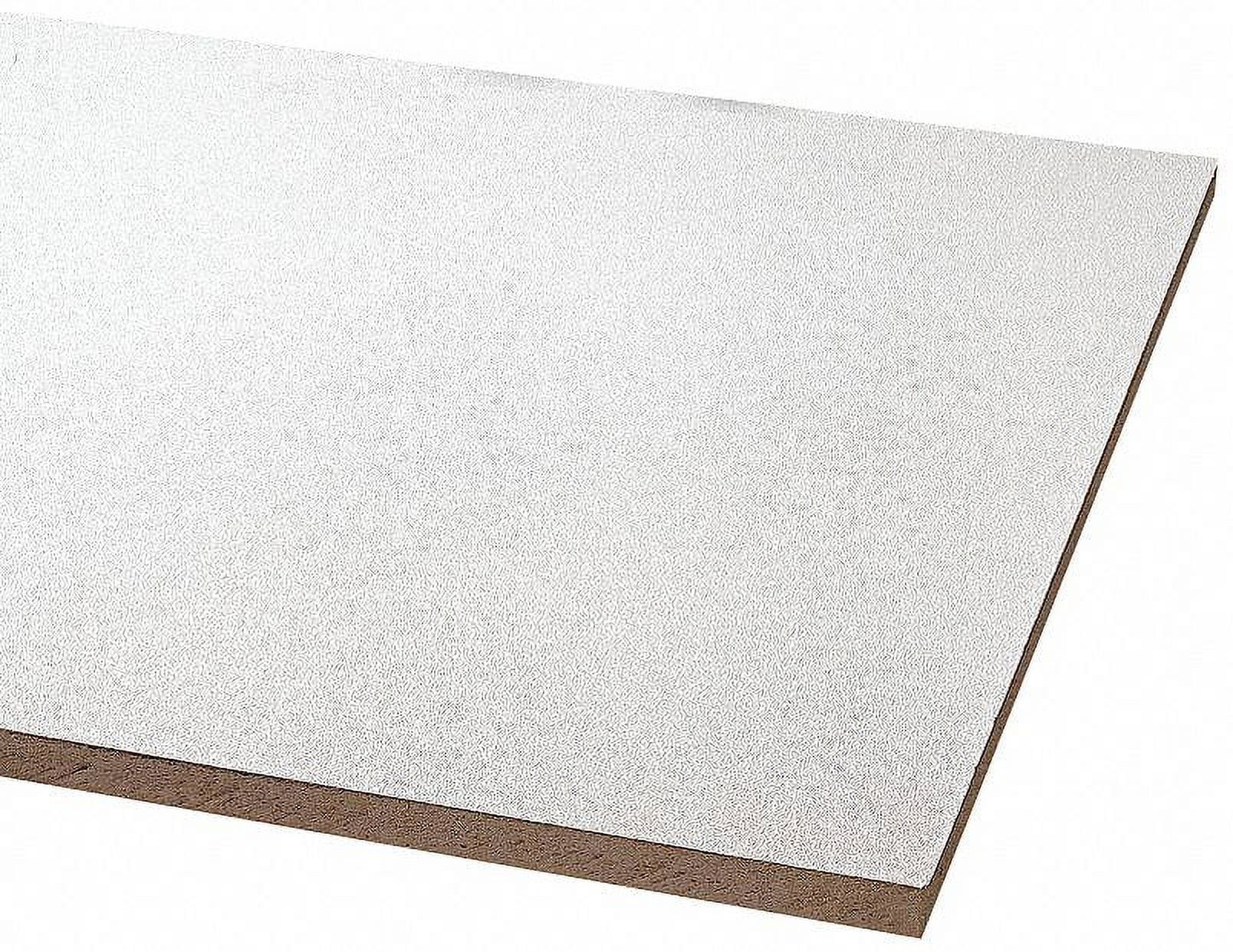 White Smooth 48" x 24" Acoustic Ceiling Tile