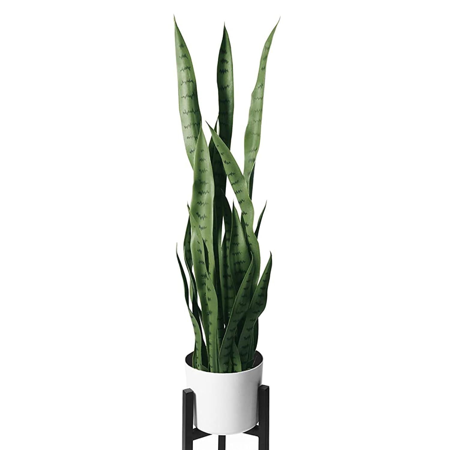 36" Green Faux Snake Plant with White Pot and Black Stand