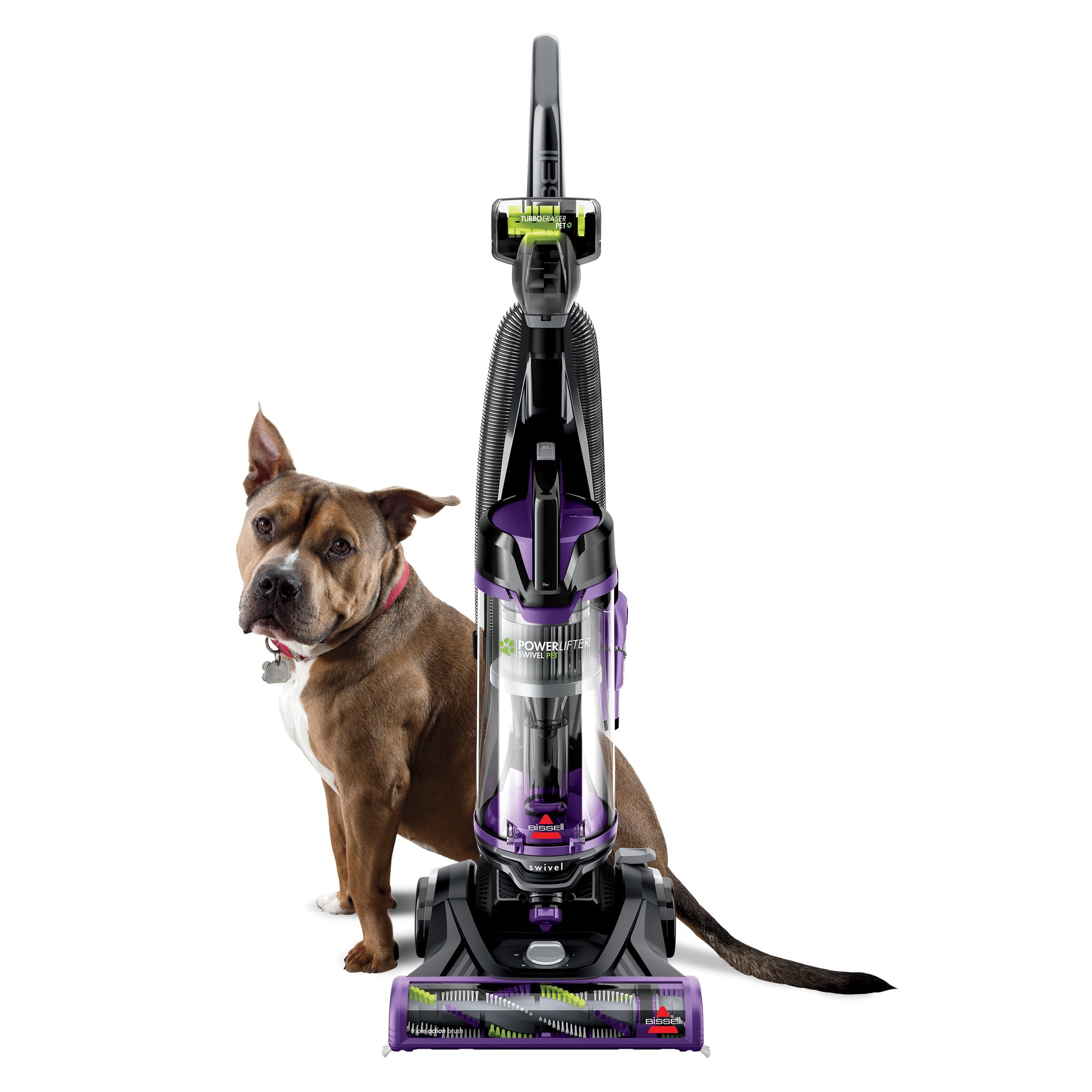 Grapevine Purple Bagless Upright Vacuum Cleaner for Pet Hair