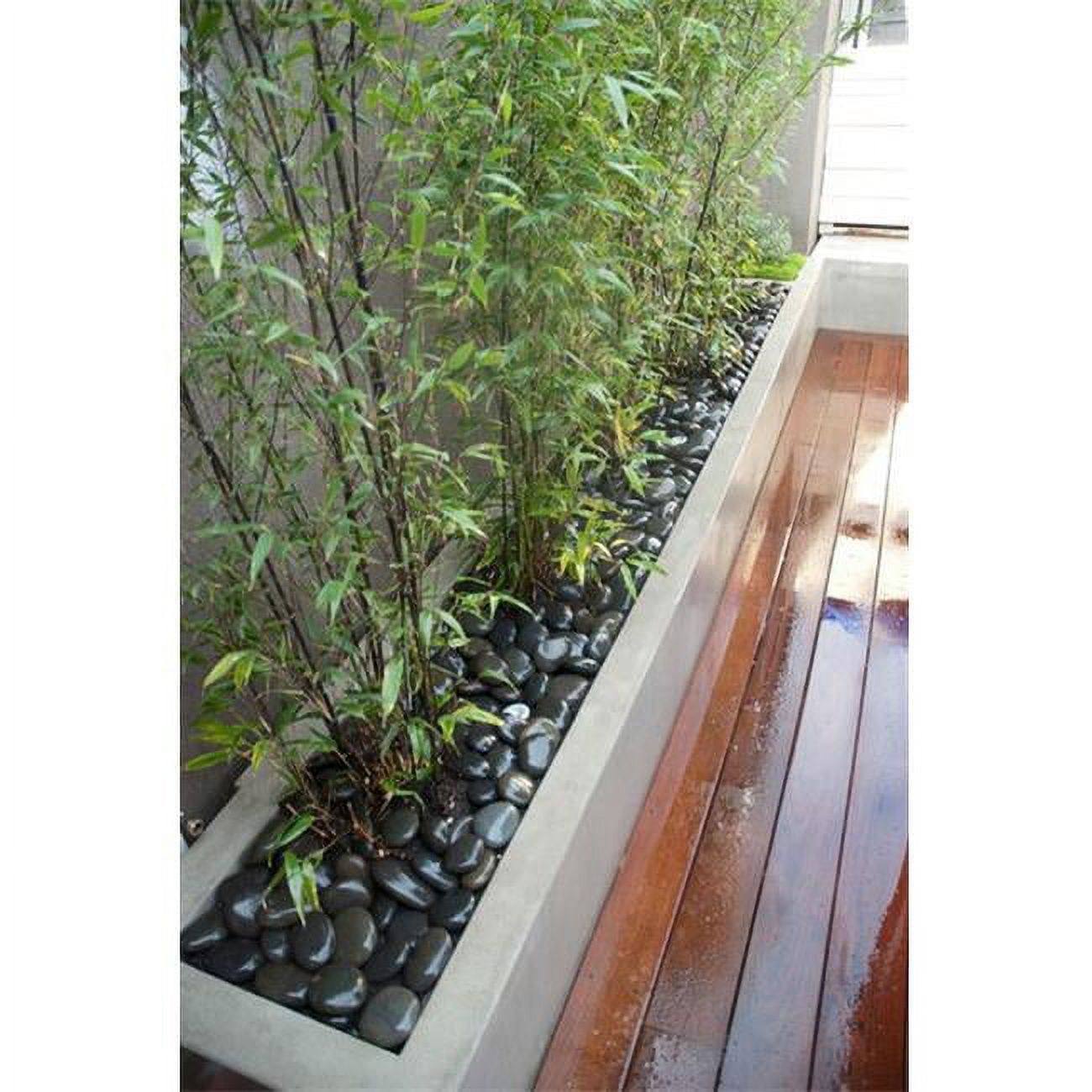 Eco-Friendly Bamboo Raised Rectangular Outdoor Planter - 59.75"